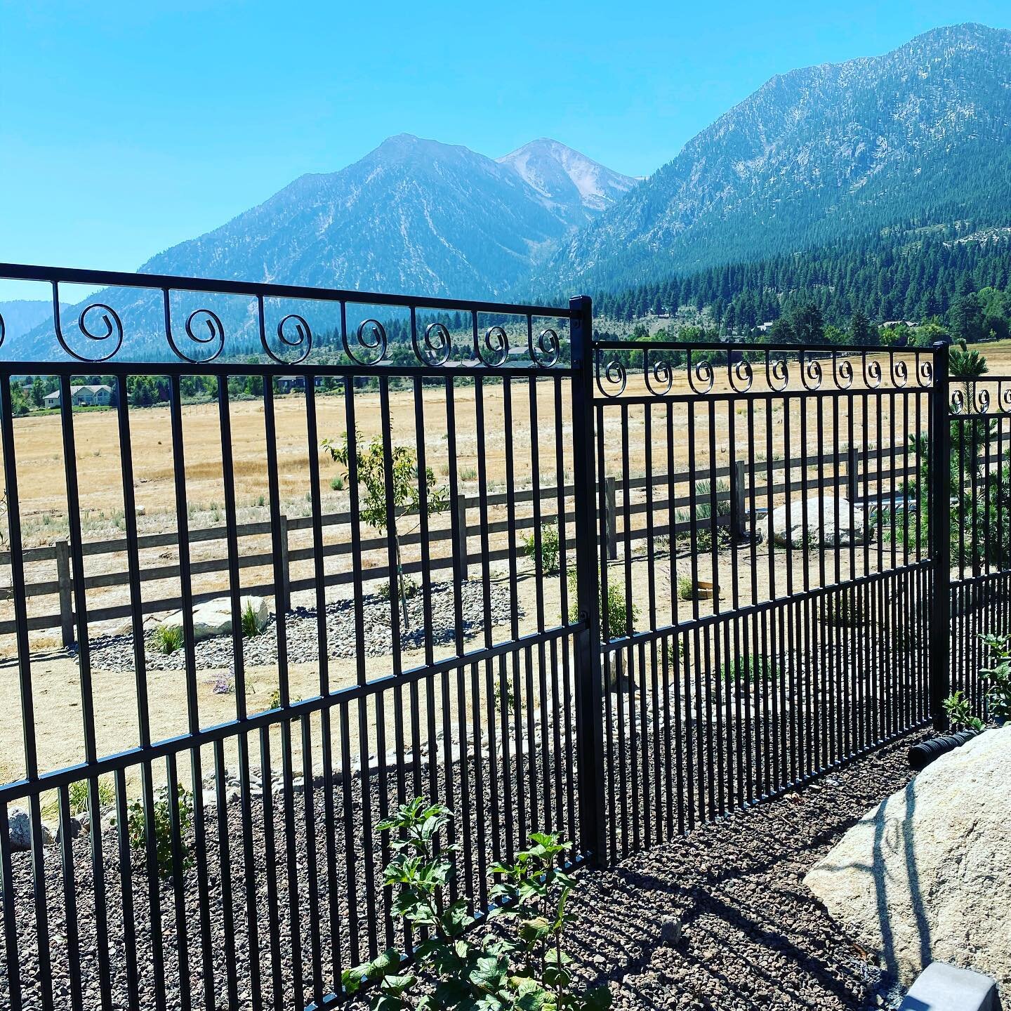 6&rsquo; Custom powder coated iron puppy 🐶 panels! ⭐️⭐️⭐️⭐️⭐️ 
✔️ 10&rsquo; Double Drive Gate
✔️ 4&rsquo; Man Gate 
Call 📞 562-2211 to ask about our capabilities! 
#NevadaFence #BuiltToLast 🤘🏼