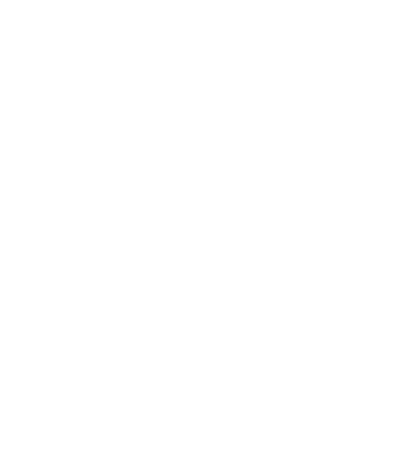 NVF Logo White