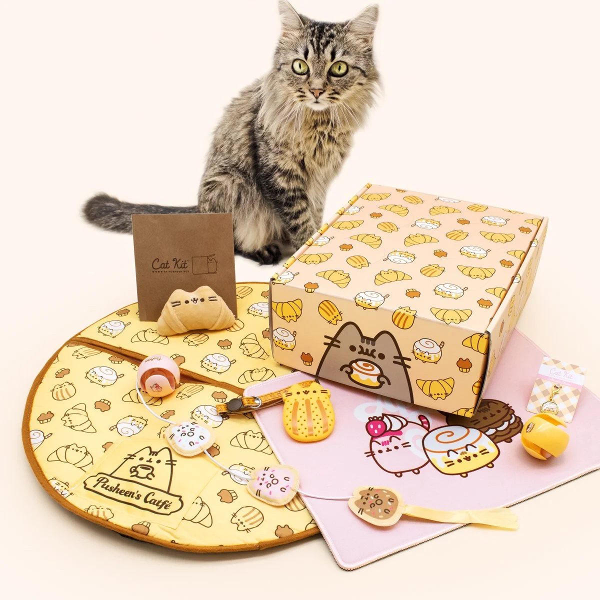 CatKit_Summer2022_FullReveal_1.jpg