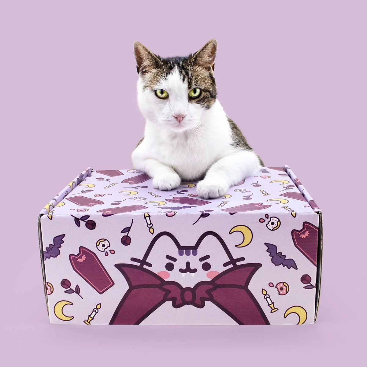 Cat Kit by Pusheen Box