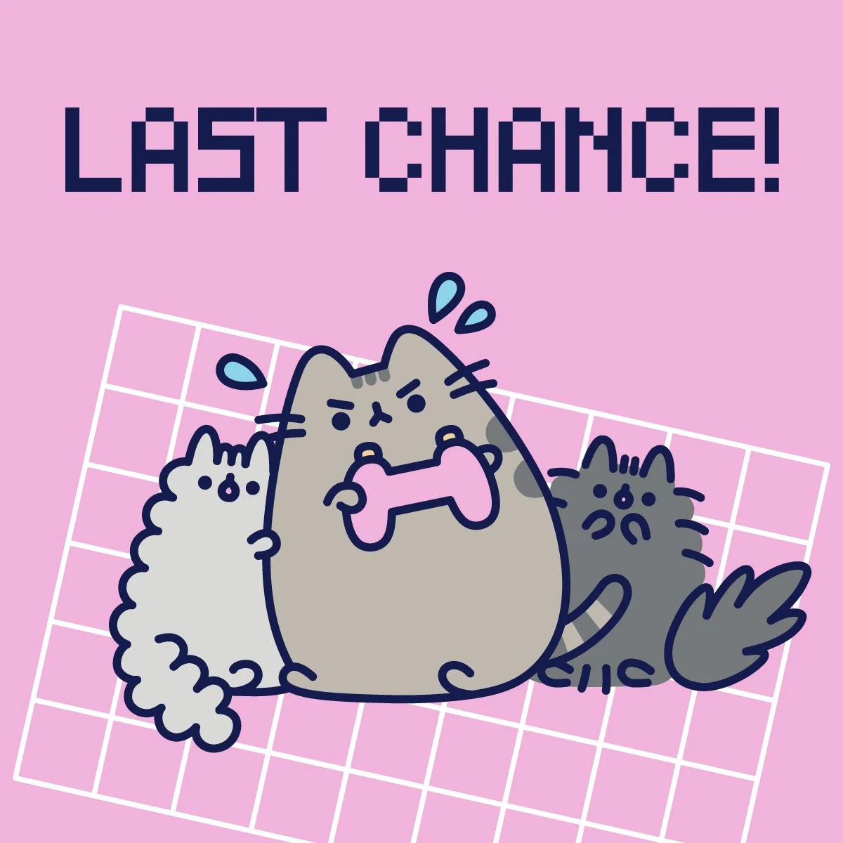 Pusheen_Winter22_LastChance.jpg