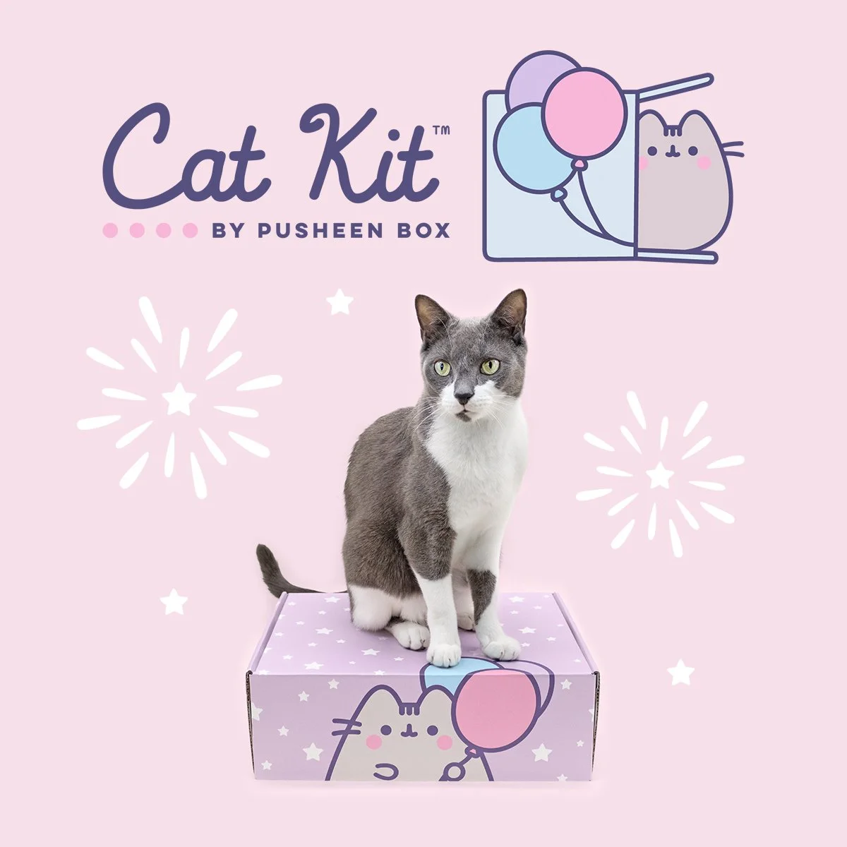 CatKit_Spring24_DigitalAd_1.1_Square.jpg