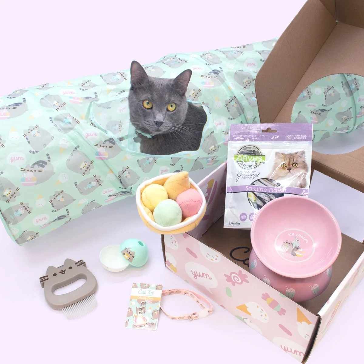 CatKit_Summer2021_FullReveals_2.jpg