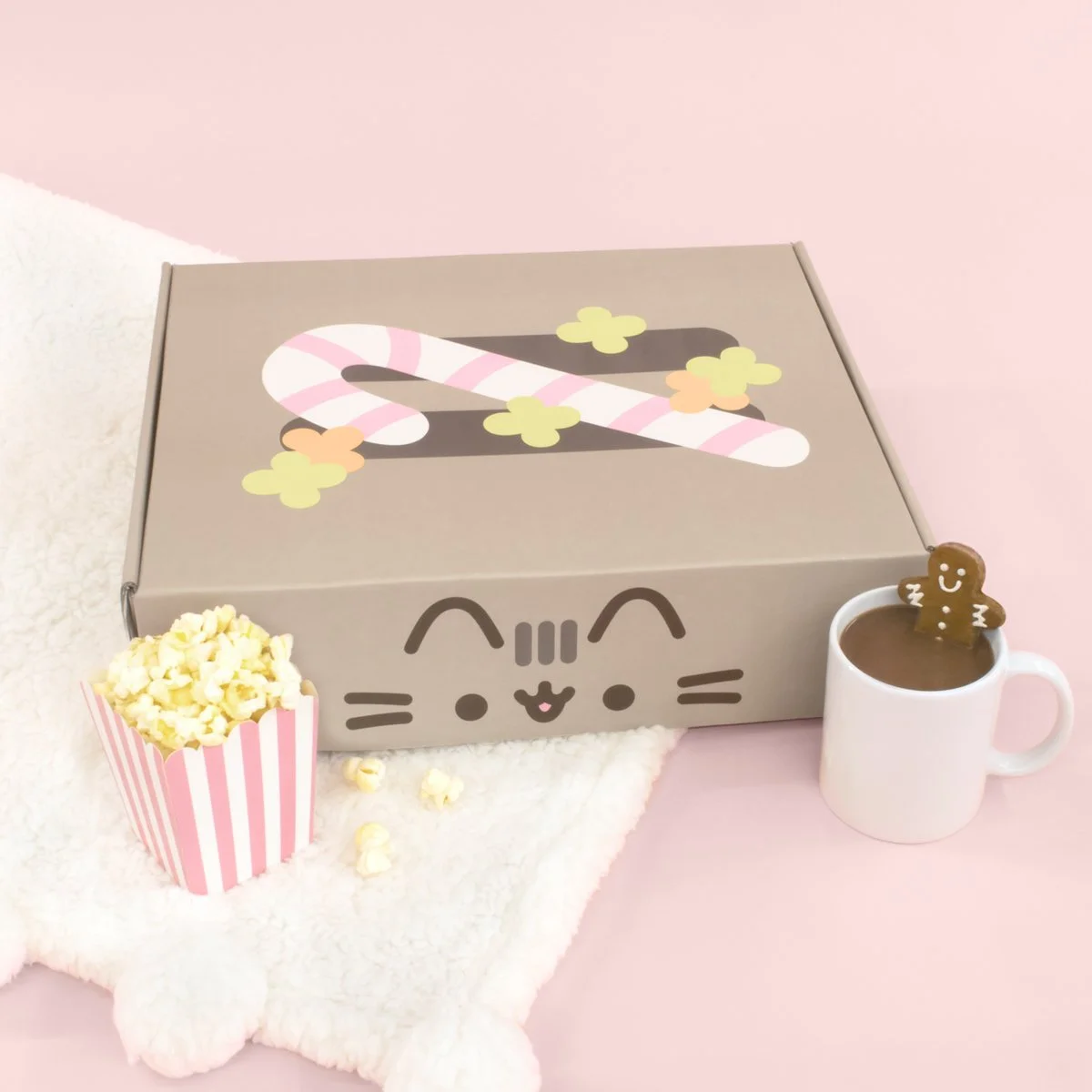 Pusheen_Winter2021_BoxAds_7.jpg