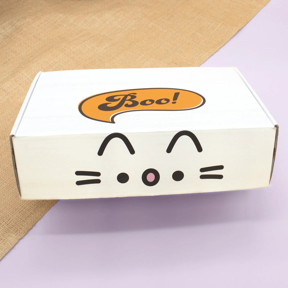 Pusheen_Fall2021_BoxAds_7.jpg