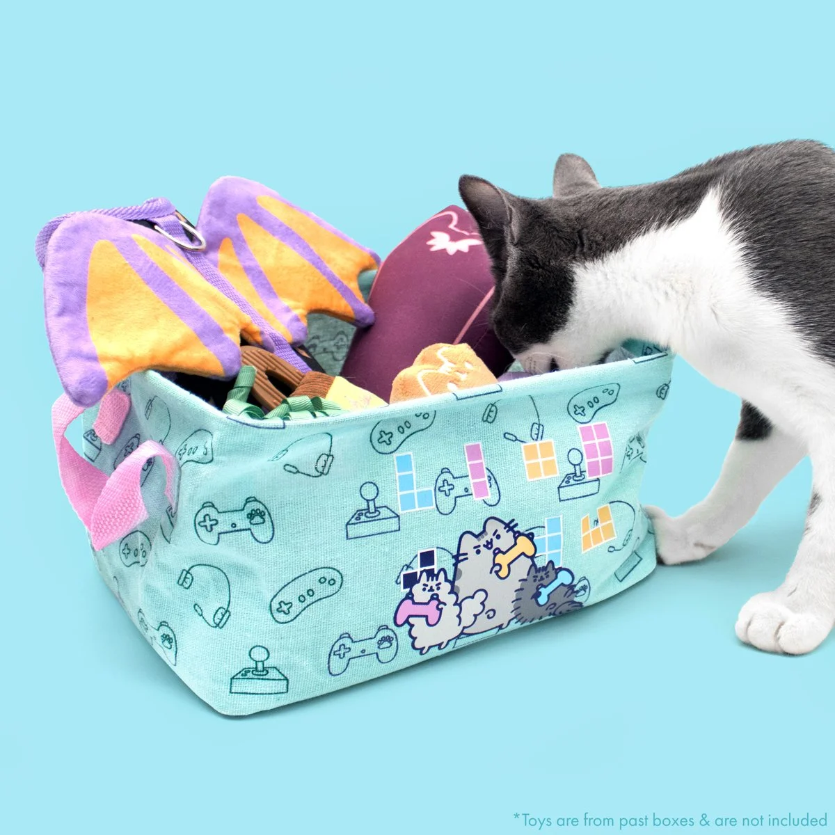 CatKit_Winter22_Spoilers_ToyBin_1.jpg