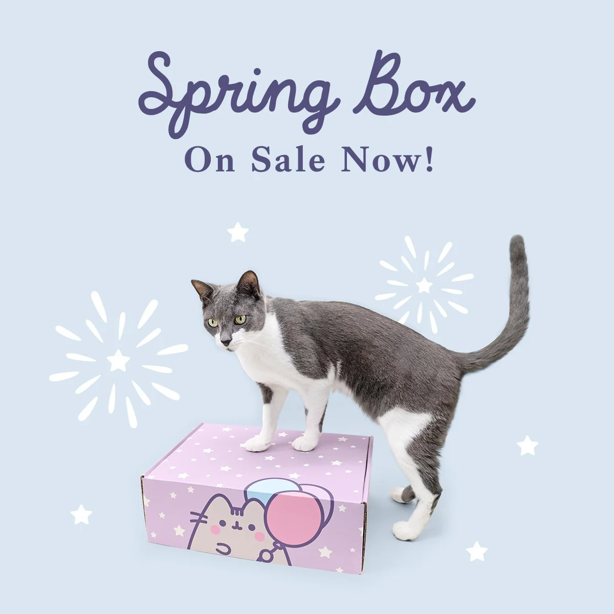 CatKit_Spring24_DigitalAd_2_Square.jpg