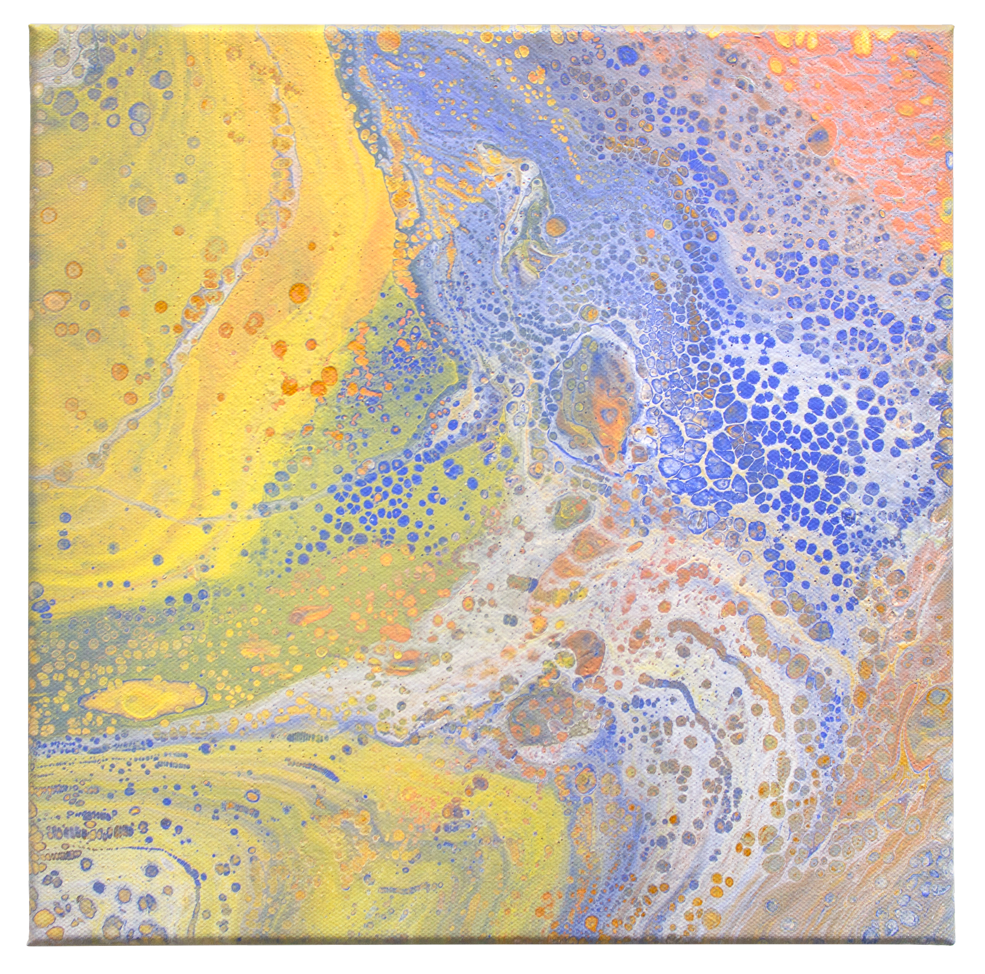 MEB_FluidPaintings_20.png