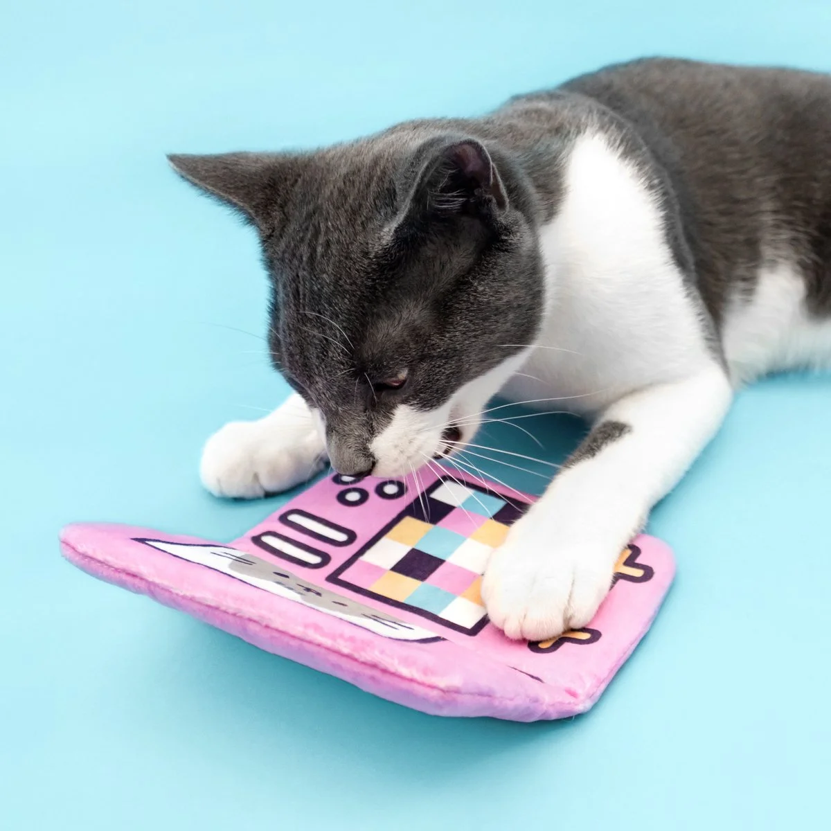 CatKit_Winter22_Spoilers_GamingCrinkleToy_2.jpg