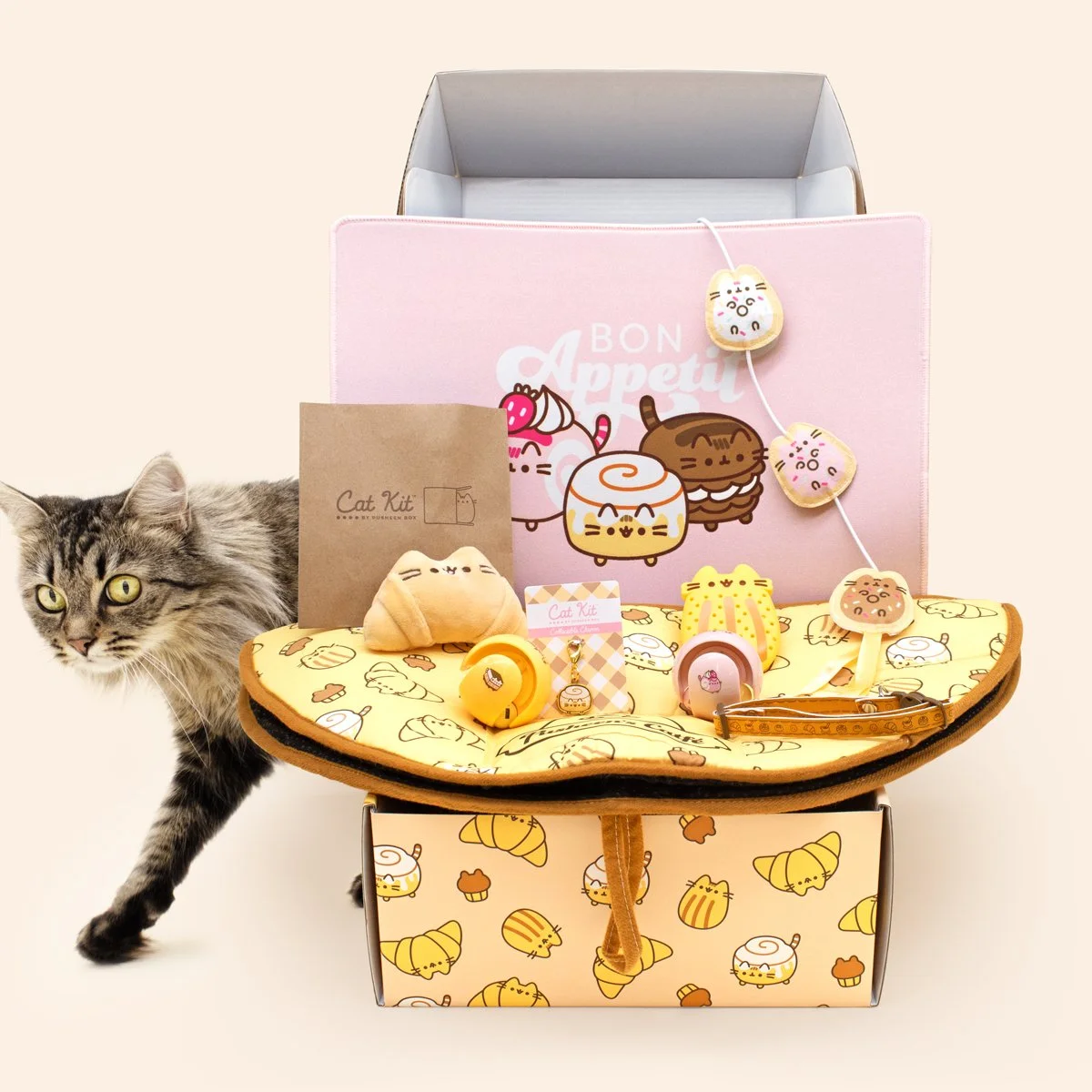 CatKit_Summer2022_FullReveal_2.jpg