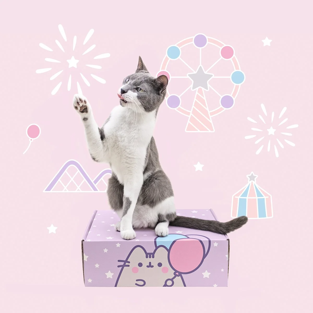 CatKit_Spring24_DigitalAd_4.2_Square.jpg