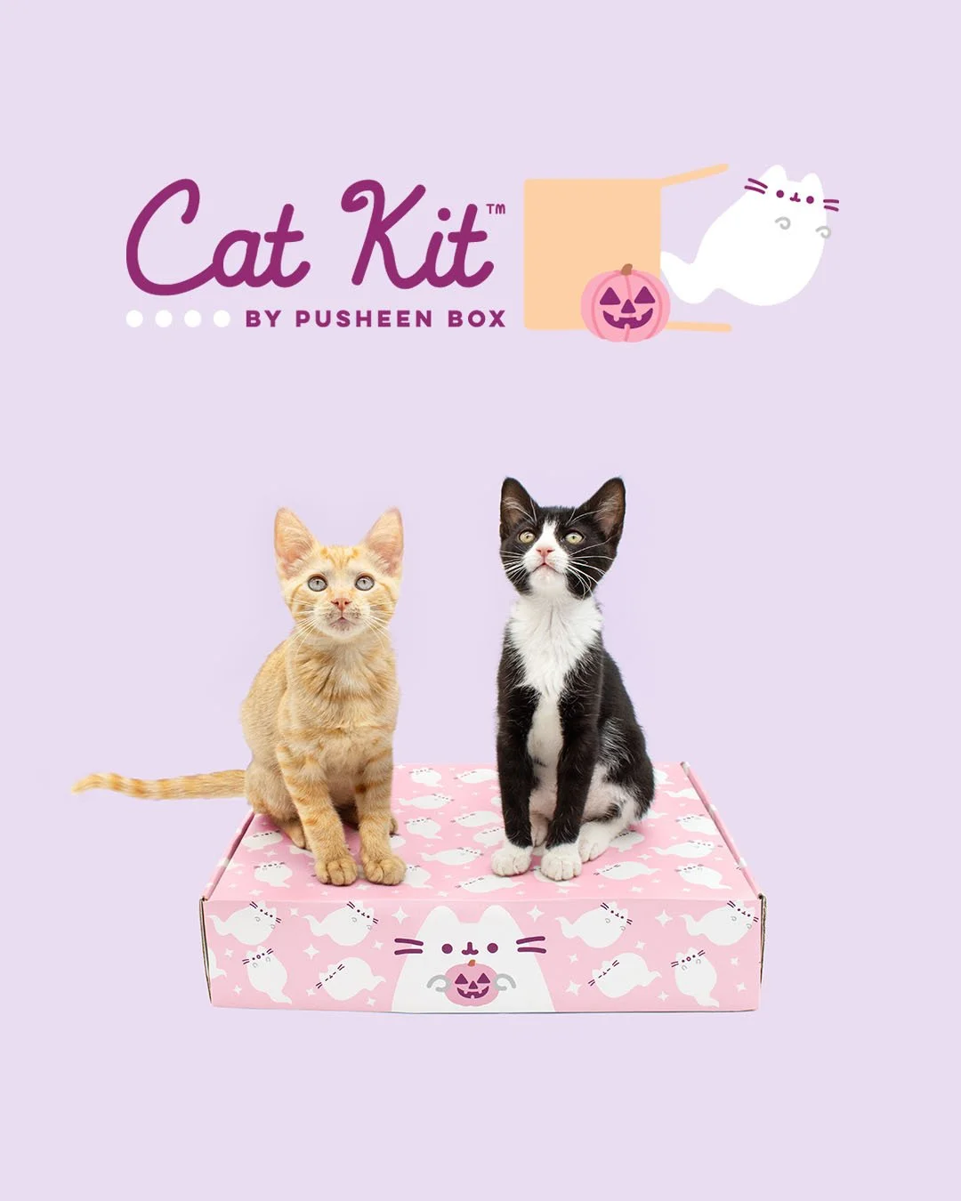CatKit_Fall26_DigitalAd_2_IG.jpg
