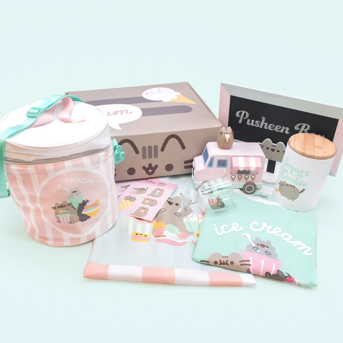 Pusheen_Summer2021_FullReveal_5.jpg