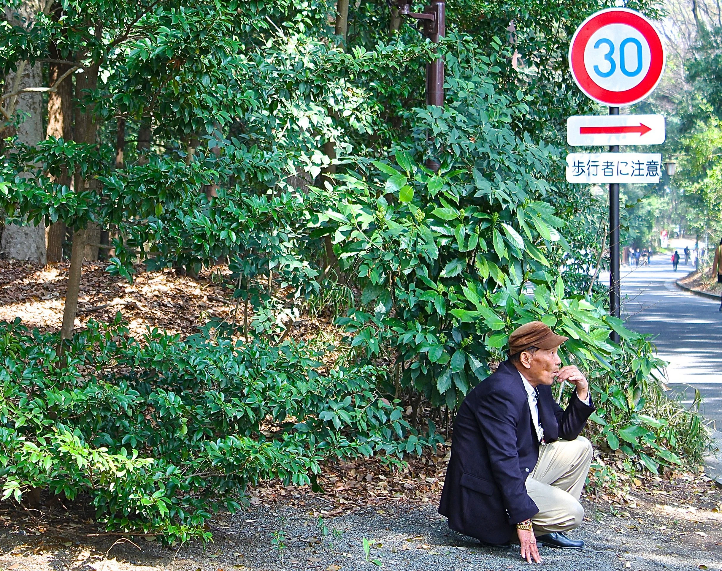 MEB_Japan_Smoker.jpg