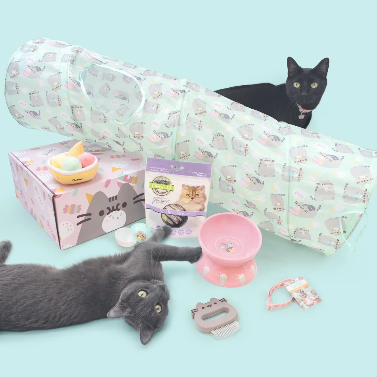 CatKit_Summer2021_FullReveals_3.jpg