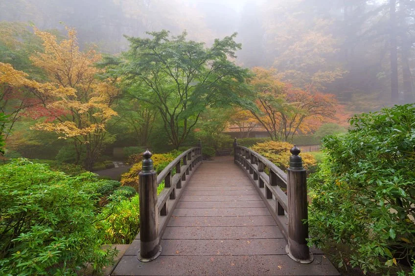japanese garden bridge.jpg