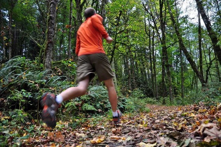 iStock-183027135 lo res.jpg