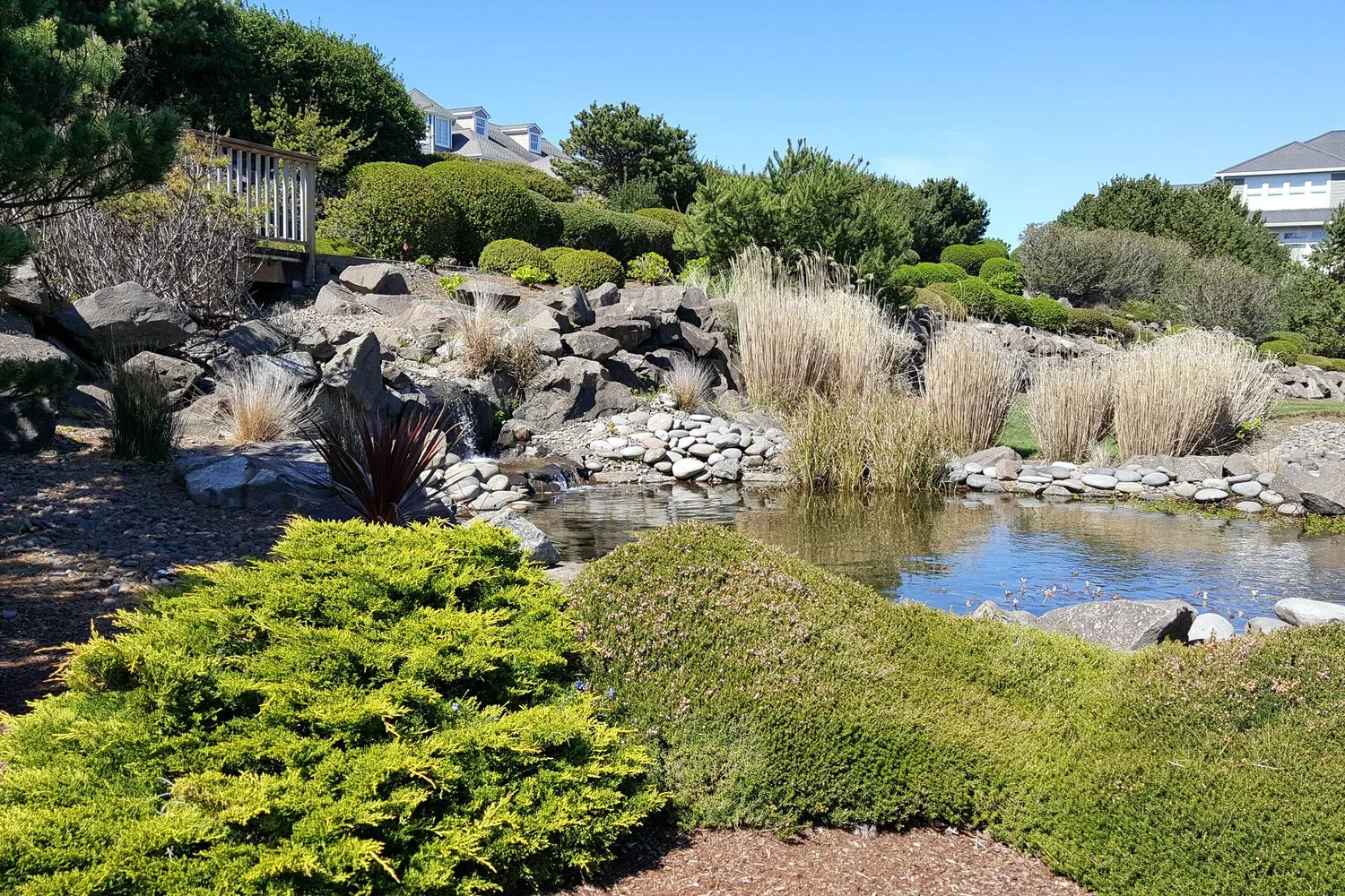 SS Park Waterfall, Small Pond.jpg