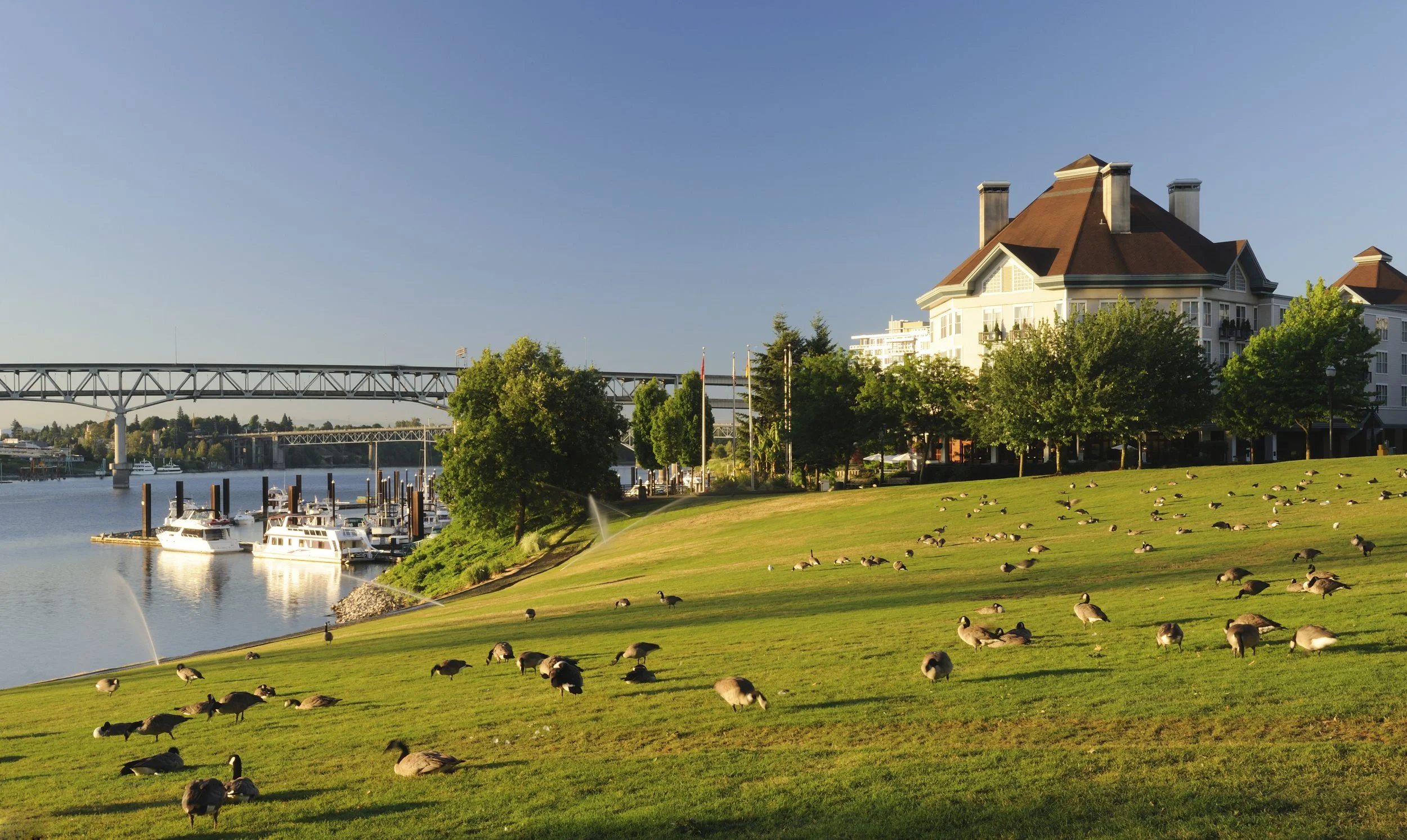 iStock-182789556.jpg