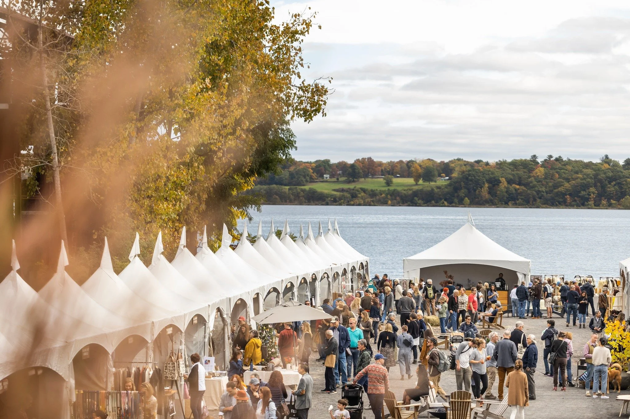 Field + Supply Fall MRKT 2025