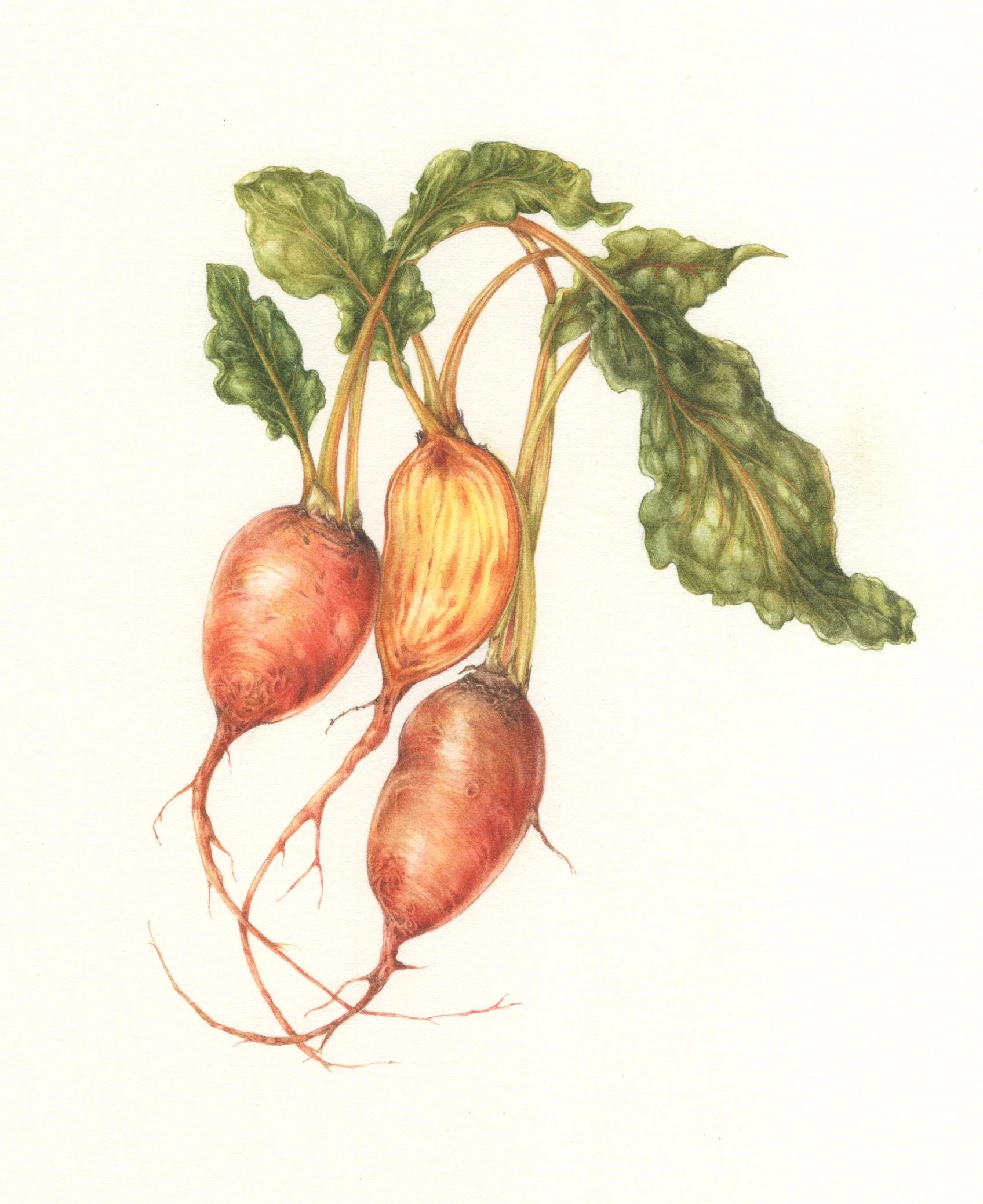 Badger Flame Beet Brandy Release Party 