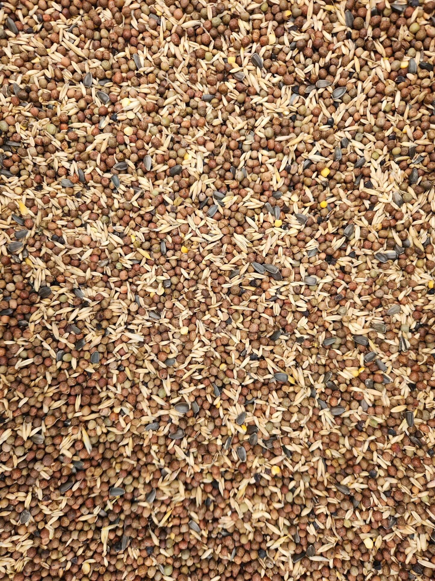 Cover Crops are planted in the spring in the fields just vacated by animals.  It is important to plant different families of cover crops.

&ldquo;Every plant exudes its own unique blend of sugars, enzymes, phenols, amino acids, nucleic acids, auxins,