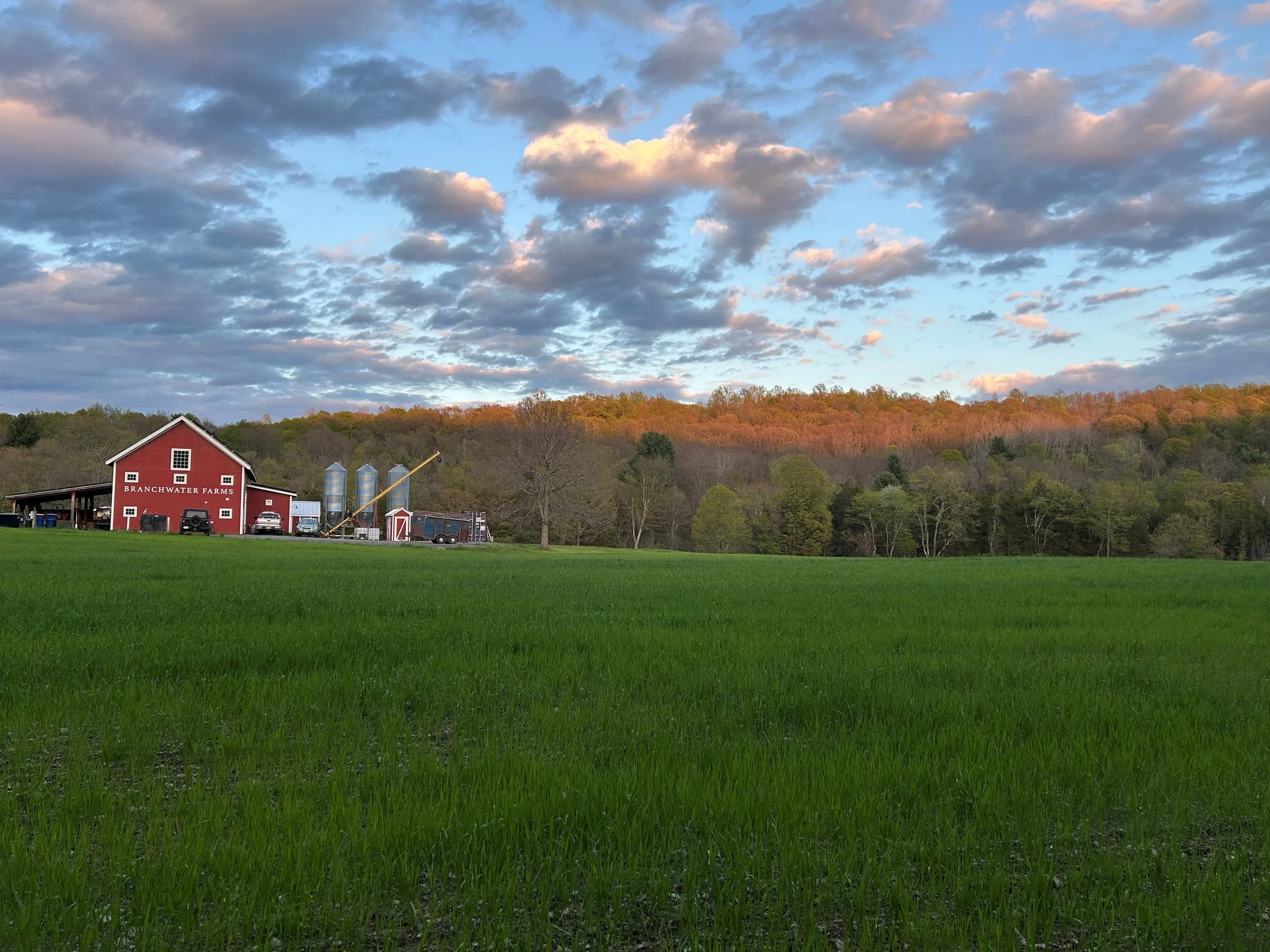 Summer Solstice Dinner at Branchwater