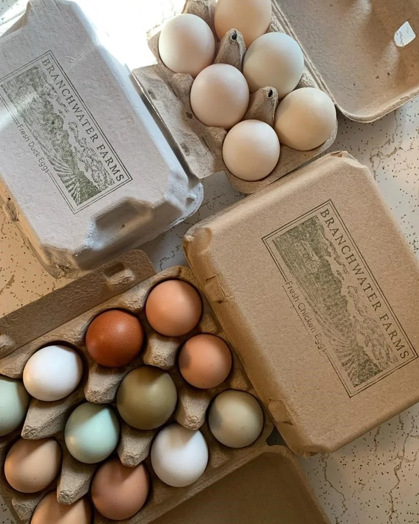 eggs.jpg
