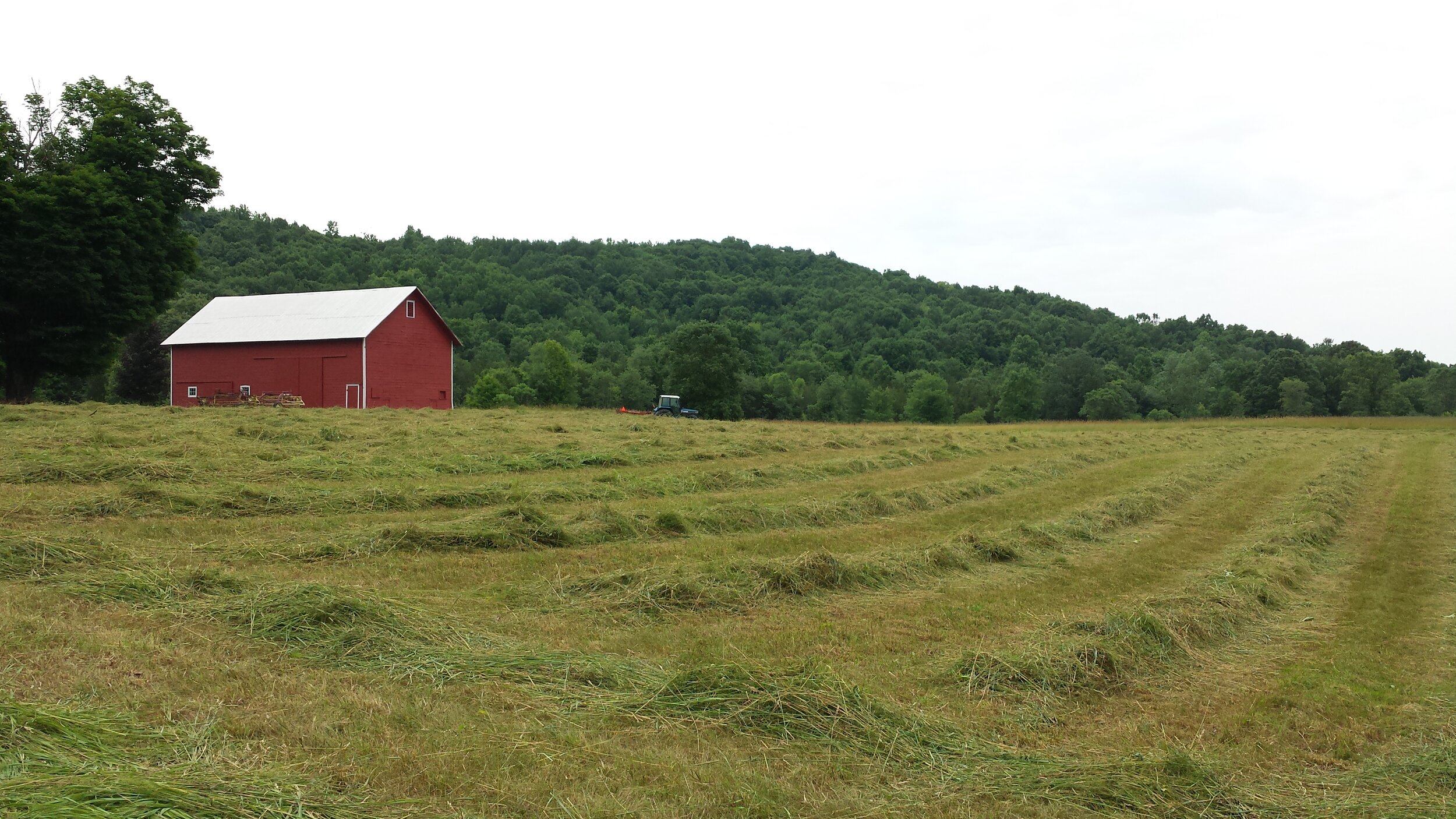 Hay Making 2014.jpg