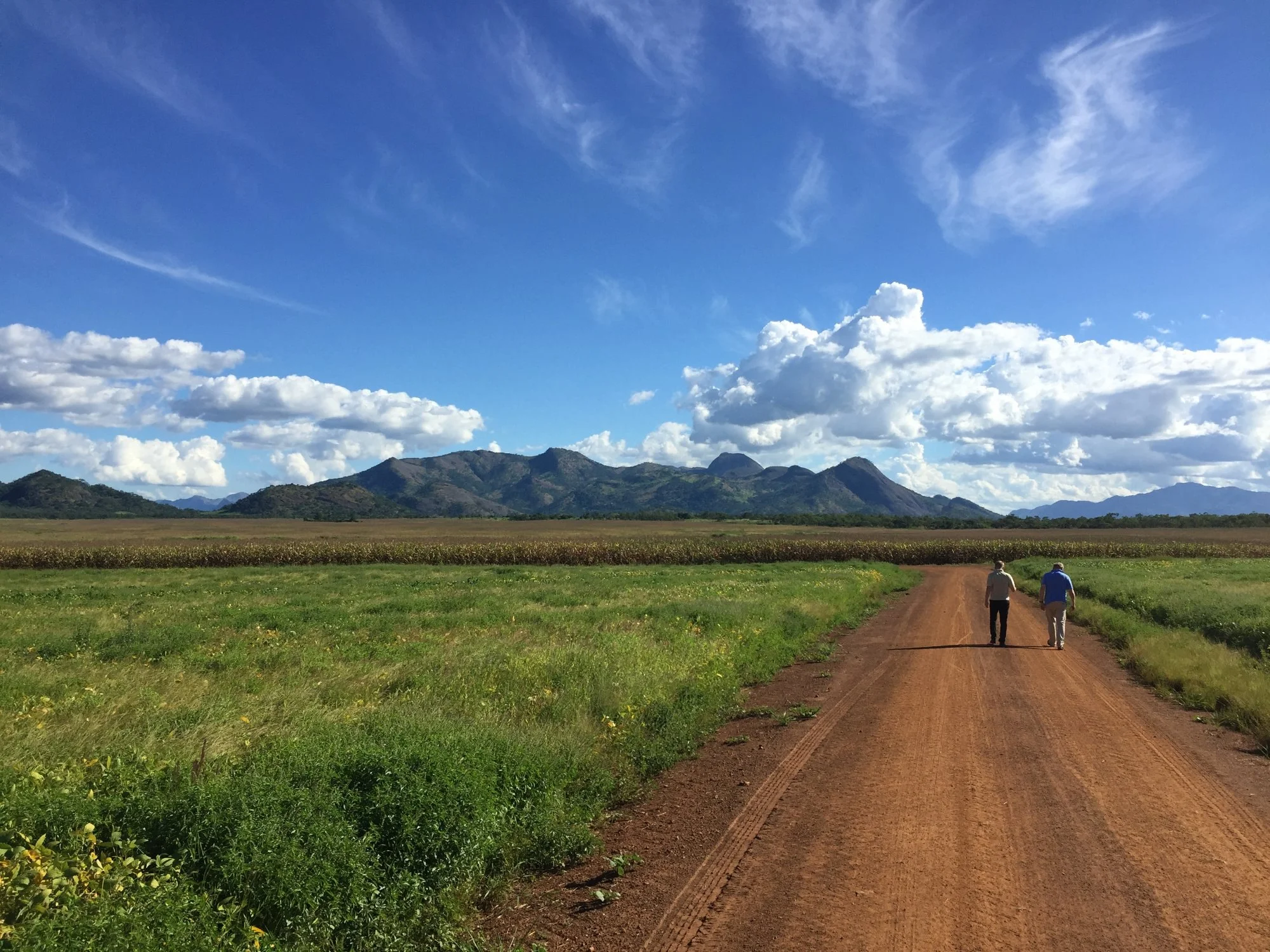 On the road to #SeedTheTransformation