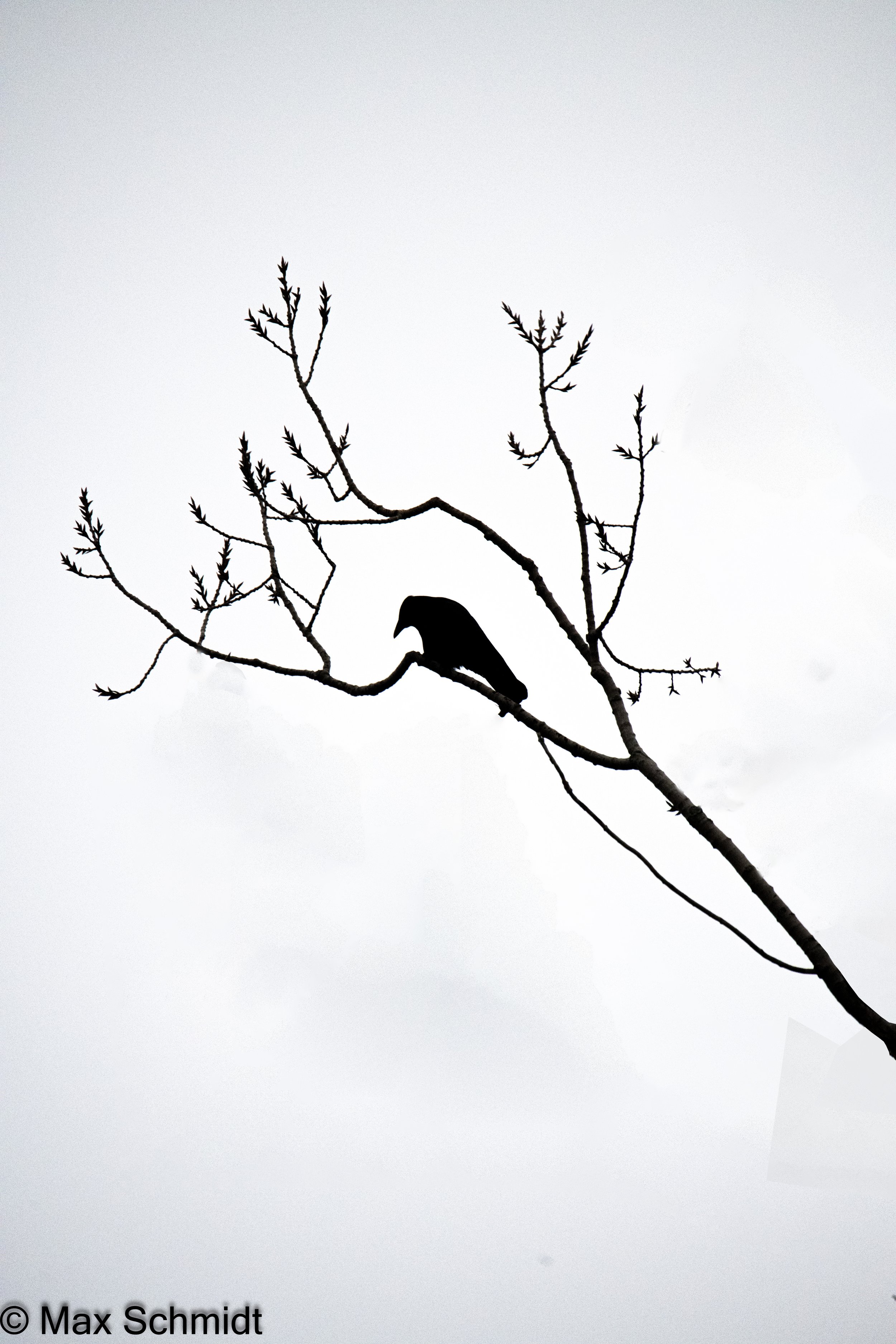 _KD01556-Edit.jpg
