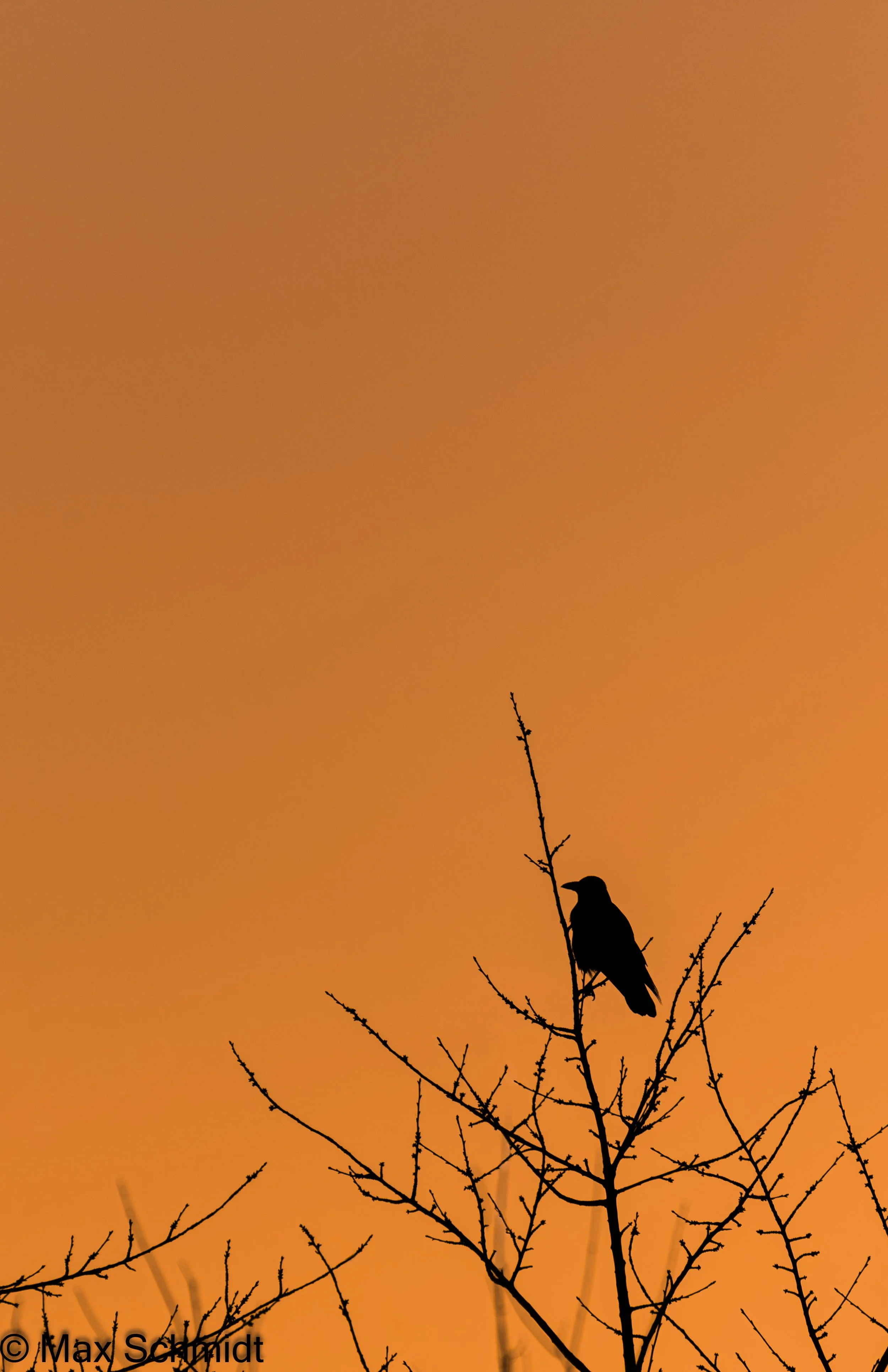 _K000966.jpg