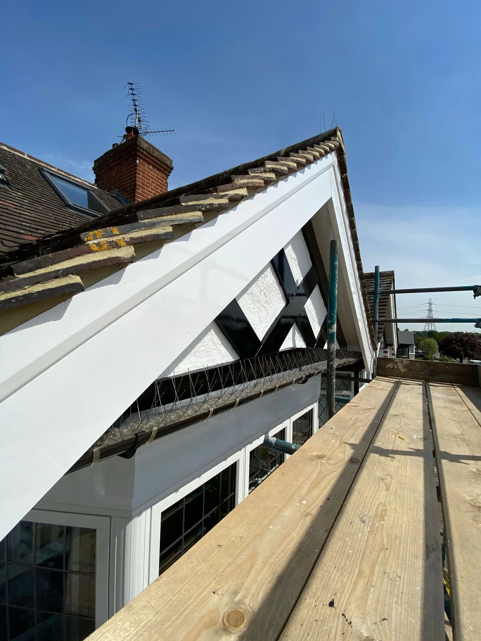 WhatsApp Image 2022-08-29 at 6.11.15 PM.jpeg