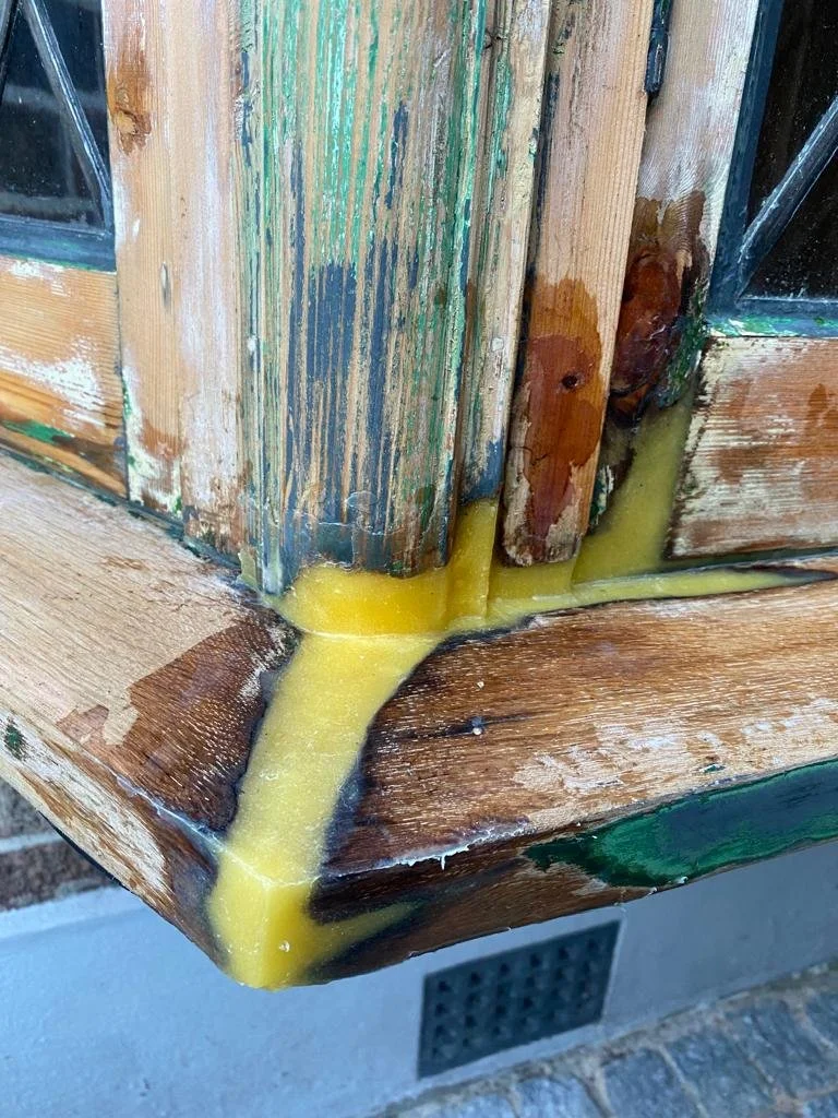 WhatsApp Image 2022-12-06 at 22.07.32 (1).jpeg