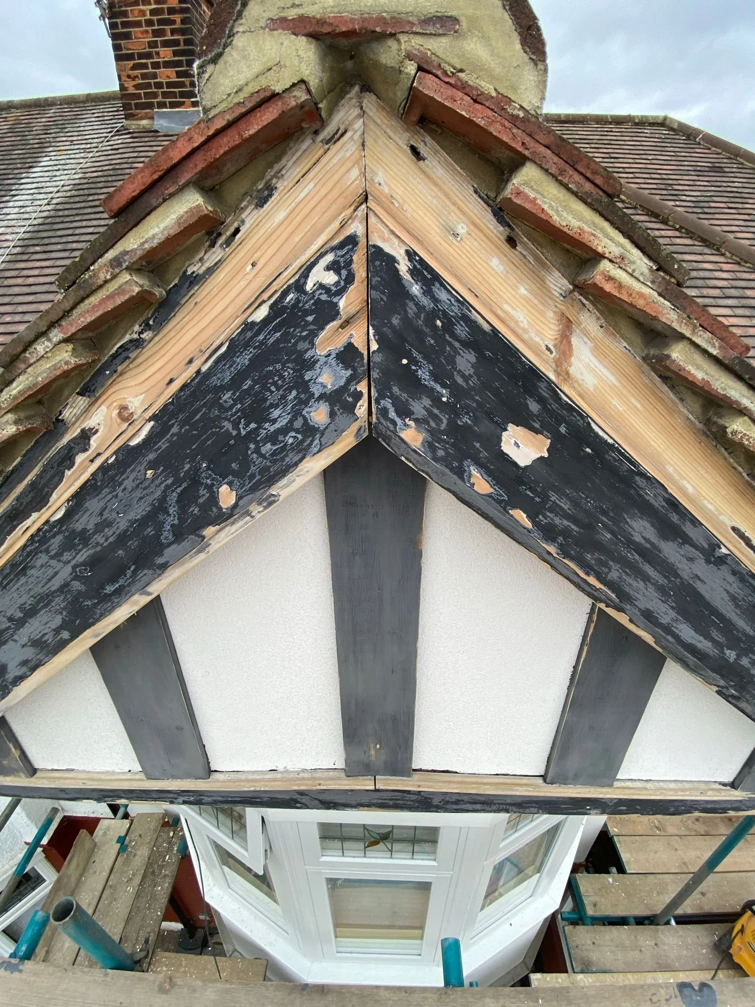 WhatsApp Image 2022-08-29 at 5.53.31 PM.jpeg