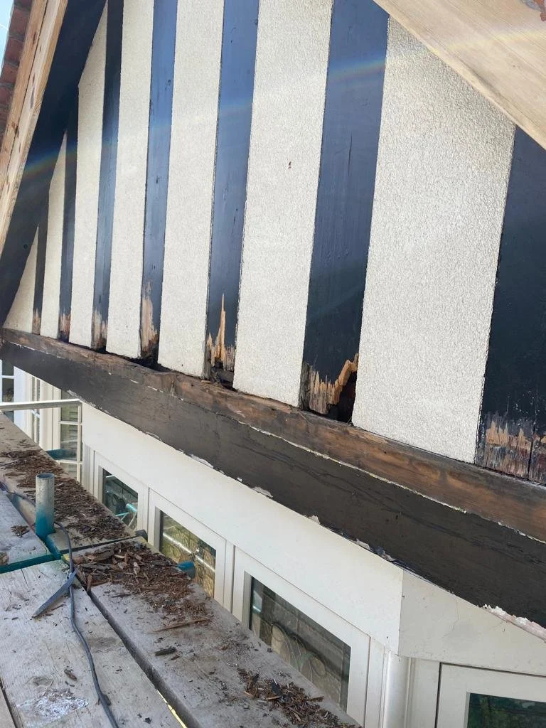 WhatsApp Image 2022-12-06 at 22.40.11.jpeg