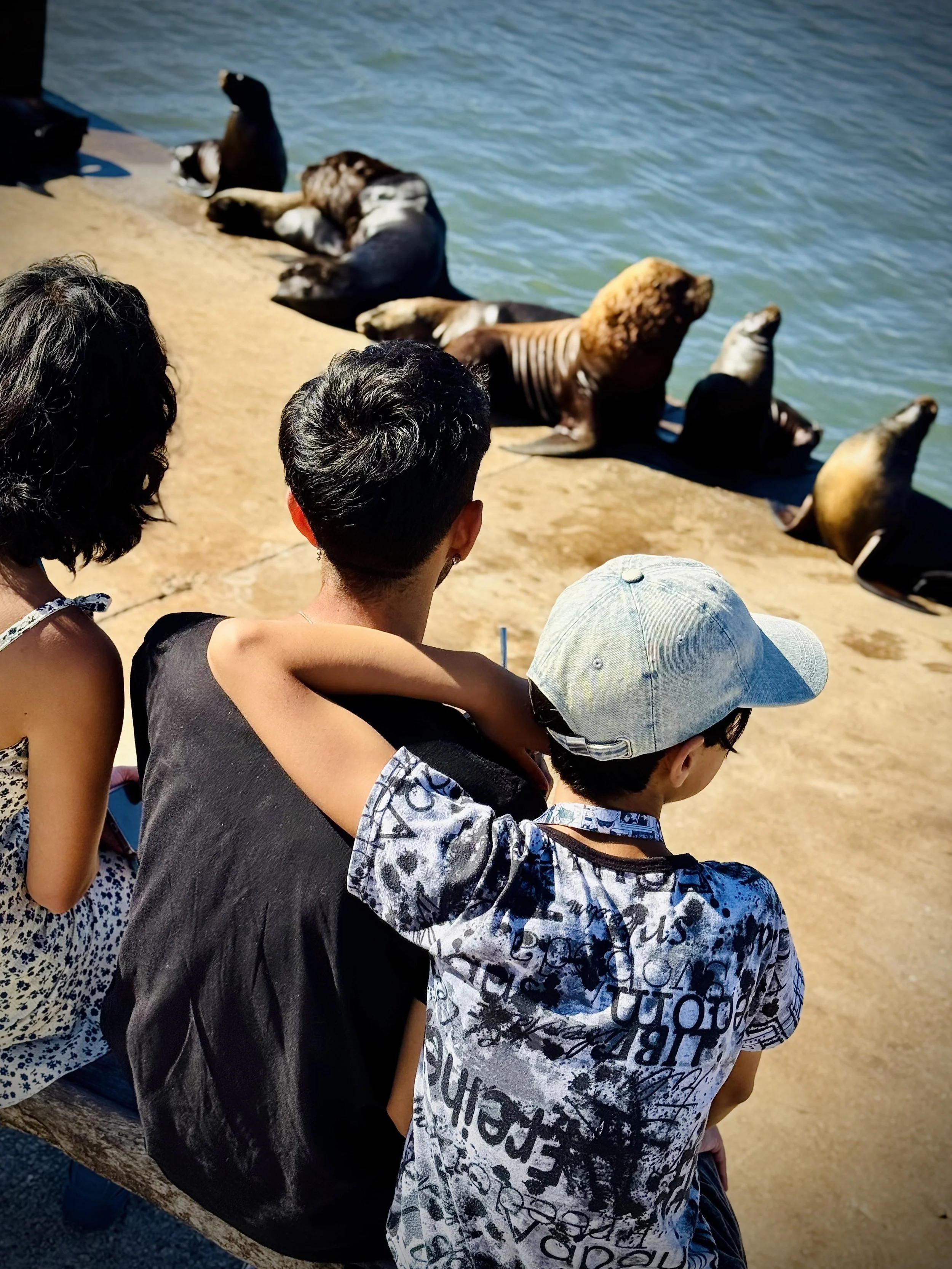 Where the Magenta Sea Lions Were