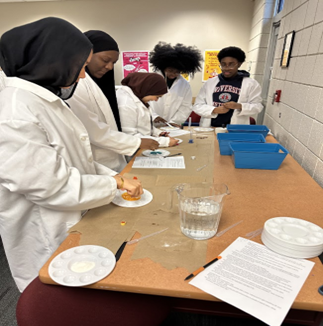 Pills, prescription and passion 