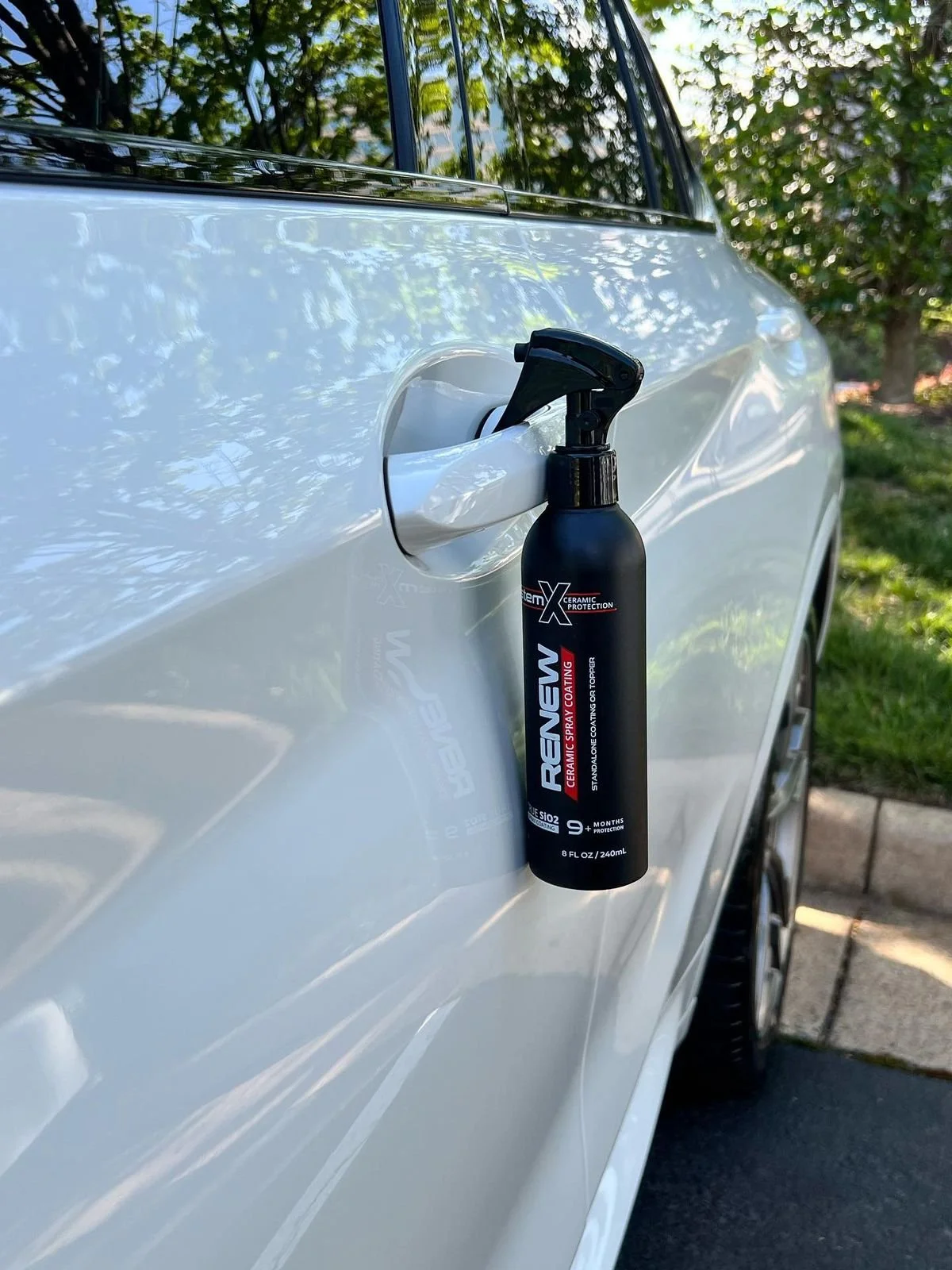 Professional Car Detailing Services in Ashburn — In And Out Mobile Auto