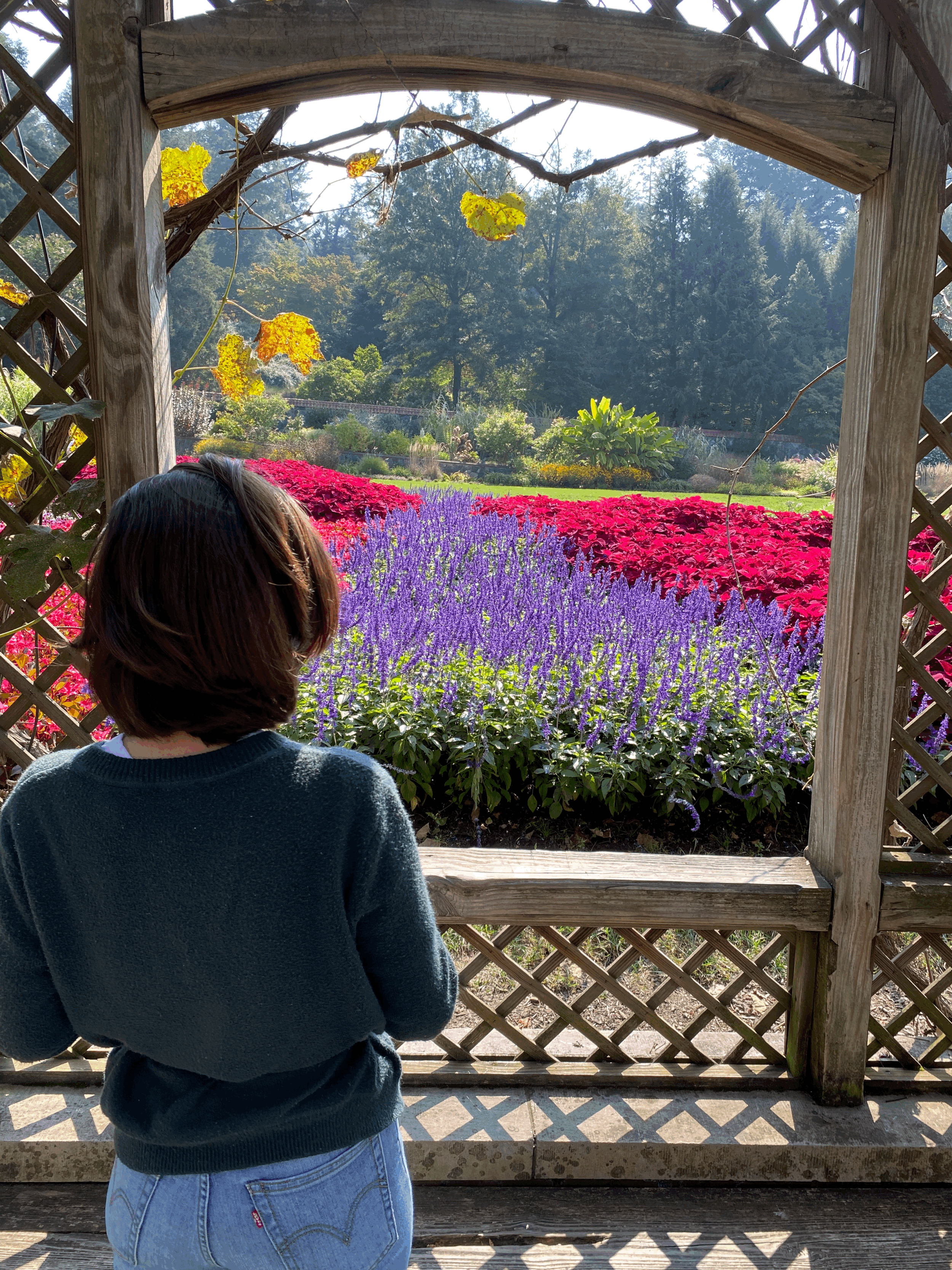 A Visit To The Biltmore Estate