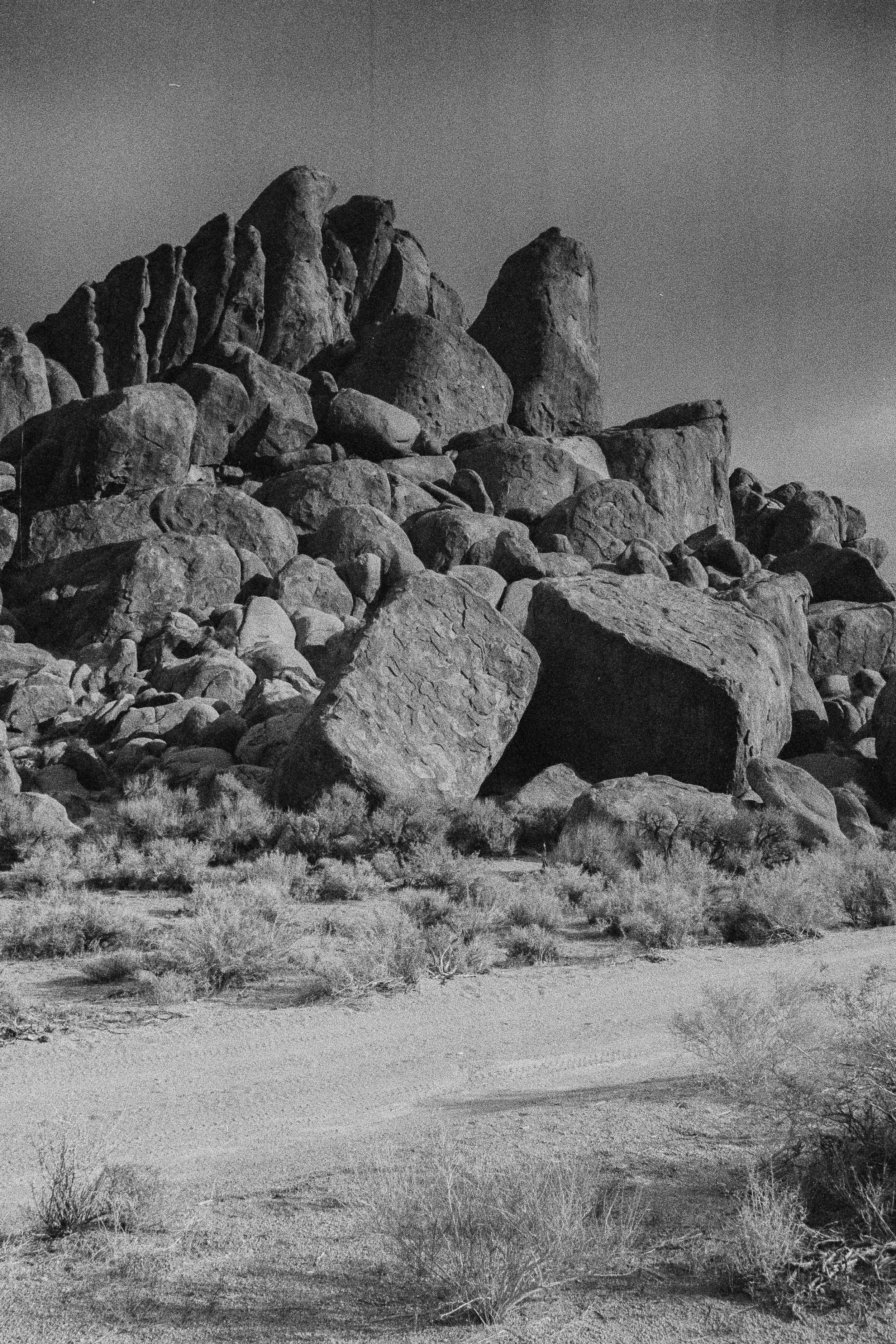 film-8.jpg