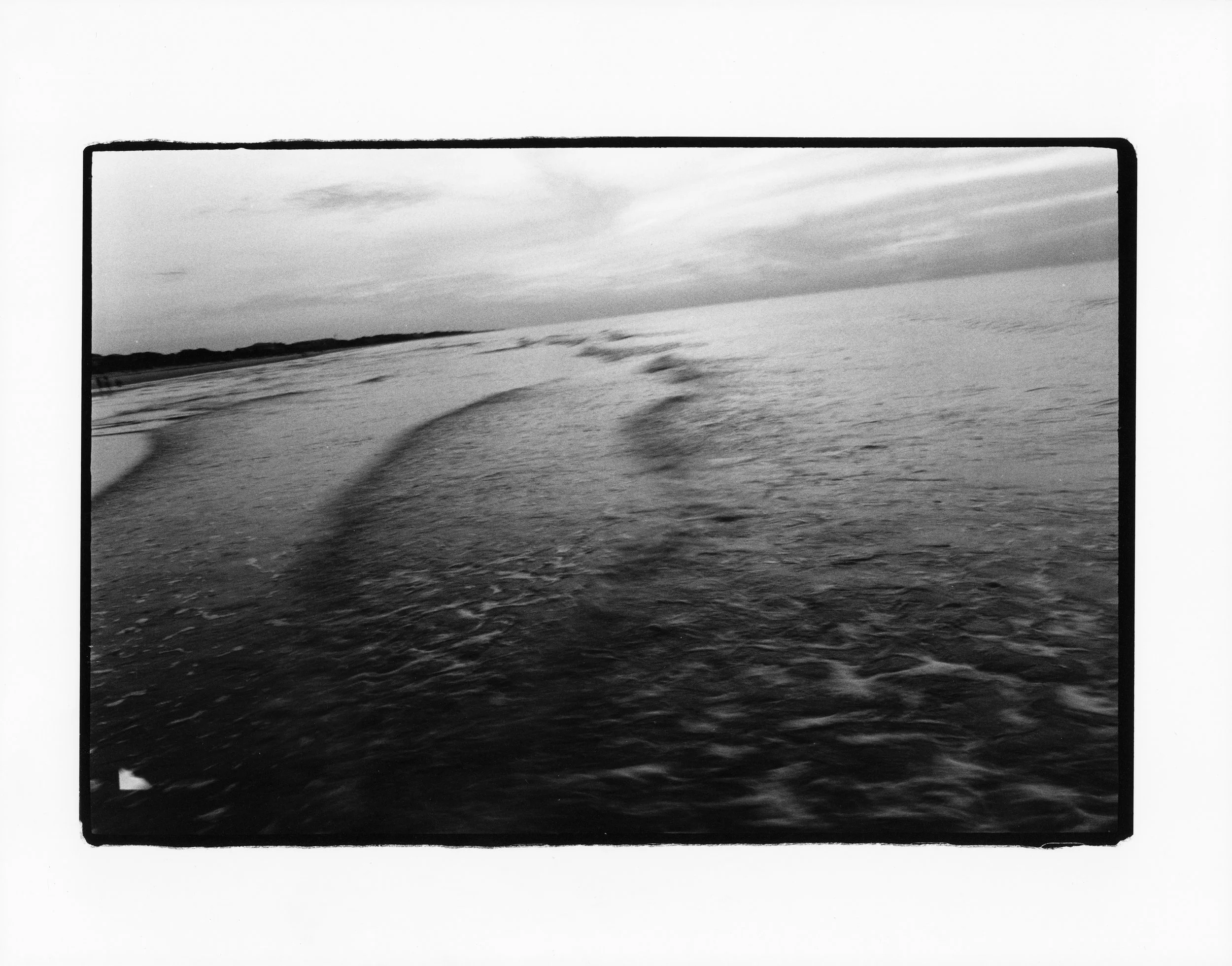 trev (9)1.jpg