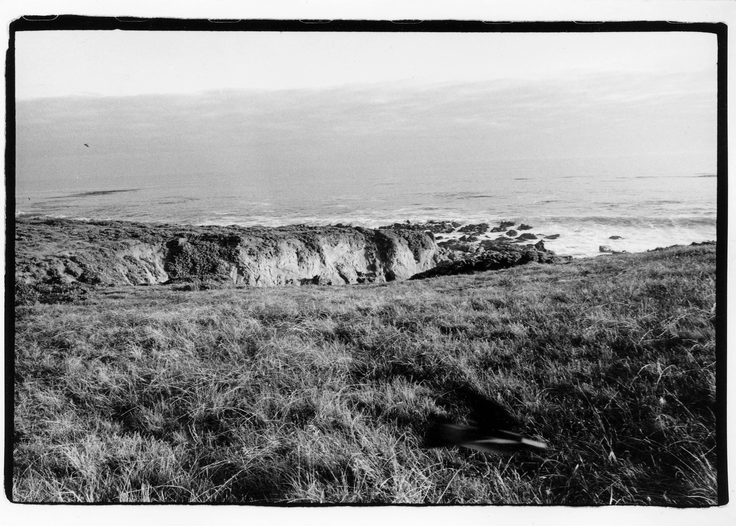 trev (7)1.jpg