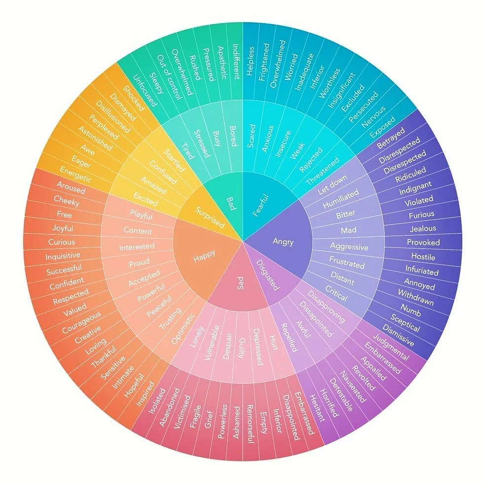 How are you REALLY feeling? 👇 Comment below.
.
.
.
🤷&zwj;♀️ There are 34,000 emotions in the human experience! No wonder it can be hard to describe them with words 

🕵️&zwj;♀️ Being able to identify and communicate our feelings more accurately can