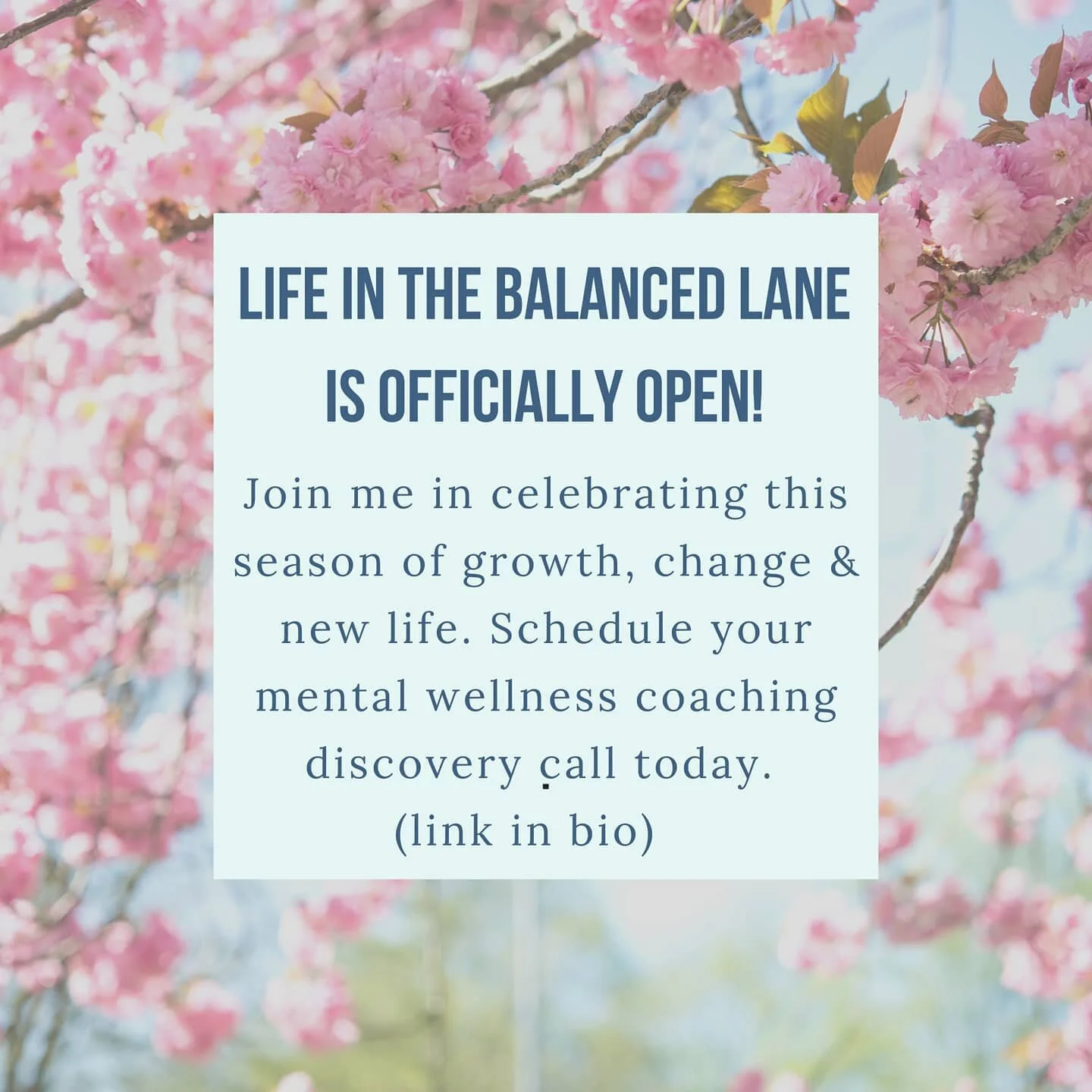 Today is the official opening of Life in the Balanced Lane - health coaching for mental well-being! 

👉 How to learn more 👈
✅ Check out the website www.lifeinthebalancedlane.com (link in bio)
✅ Schedule a discovery call from the website
✅ Put your 