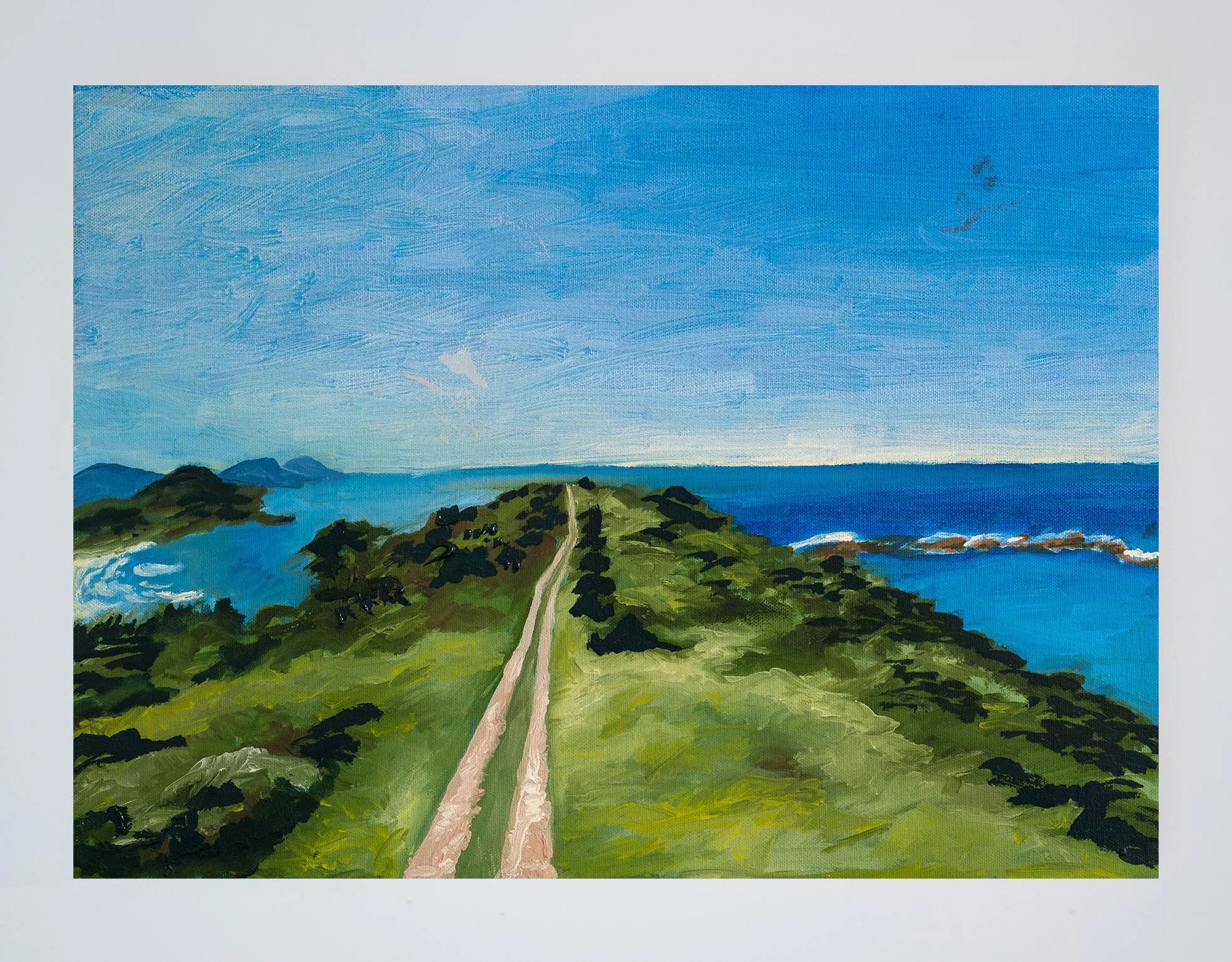 morro praia vermelha [vermelha beach hill] - 37x27 cm; óleo sobre tela [oil on canvas]