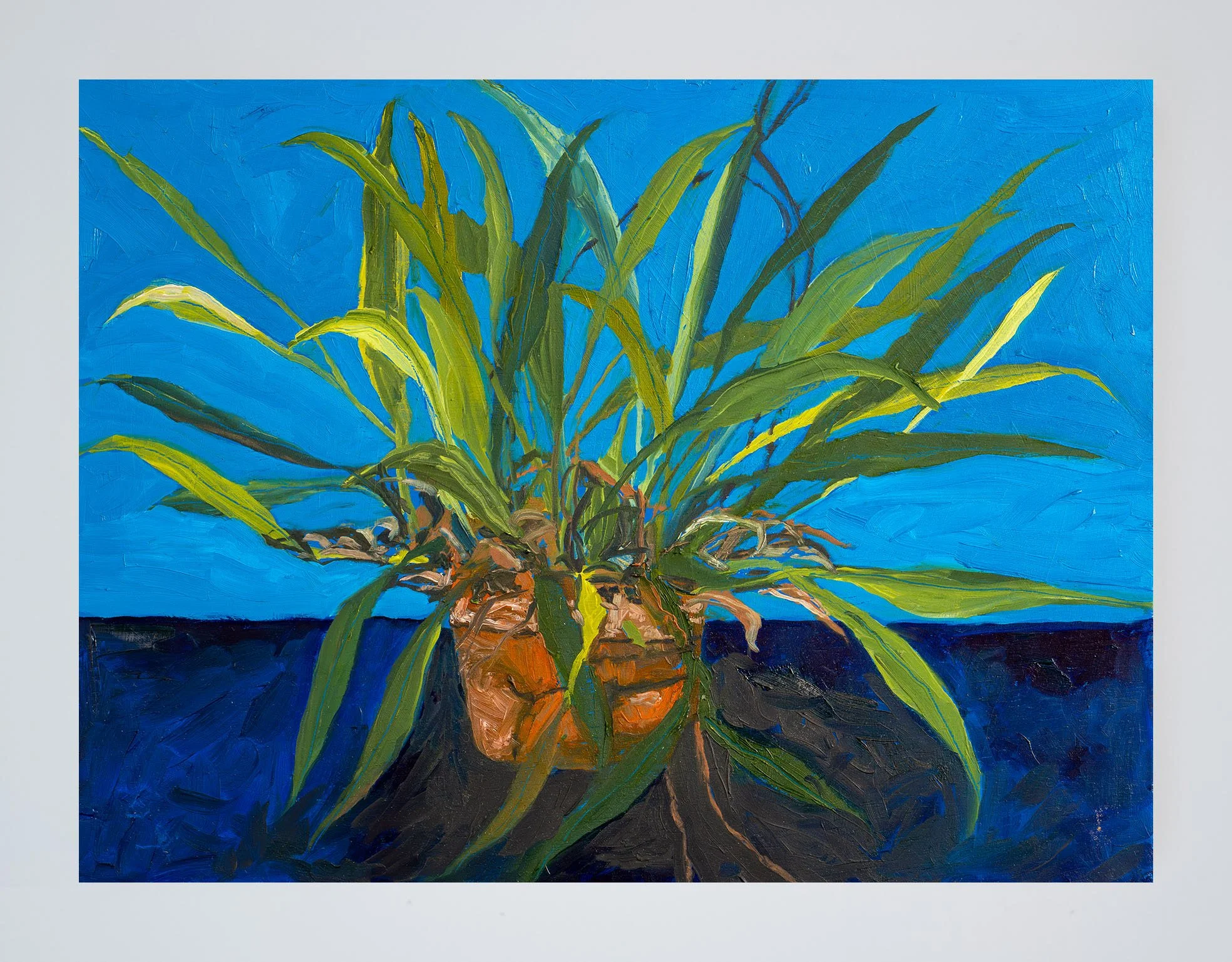 vaso plantado [planted vase] - 40x28 cm; óleo sobre madeira [oil on wood] 