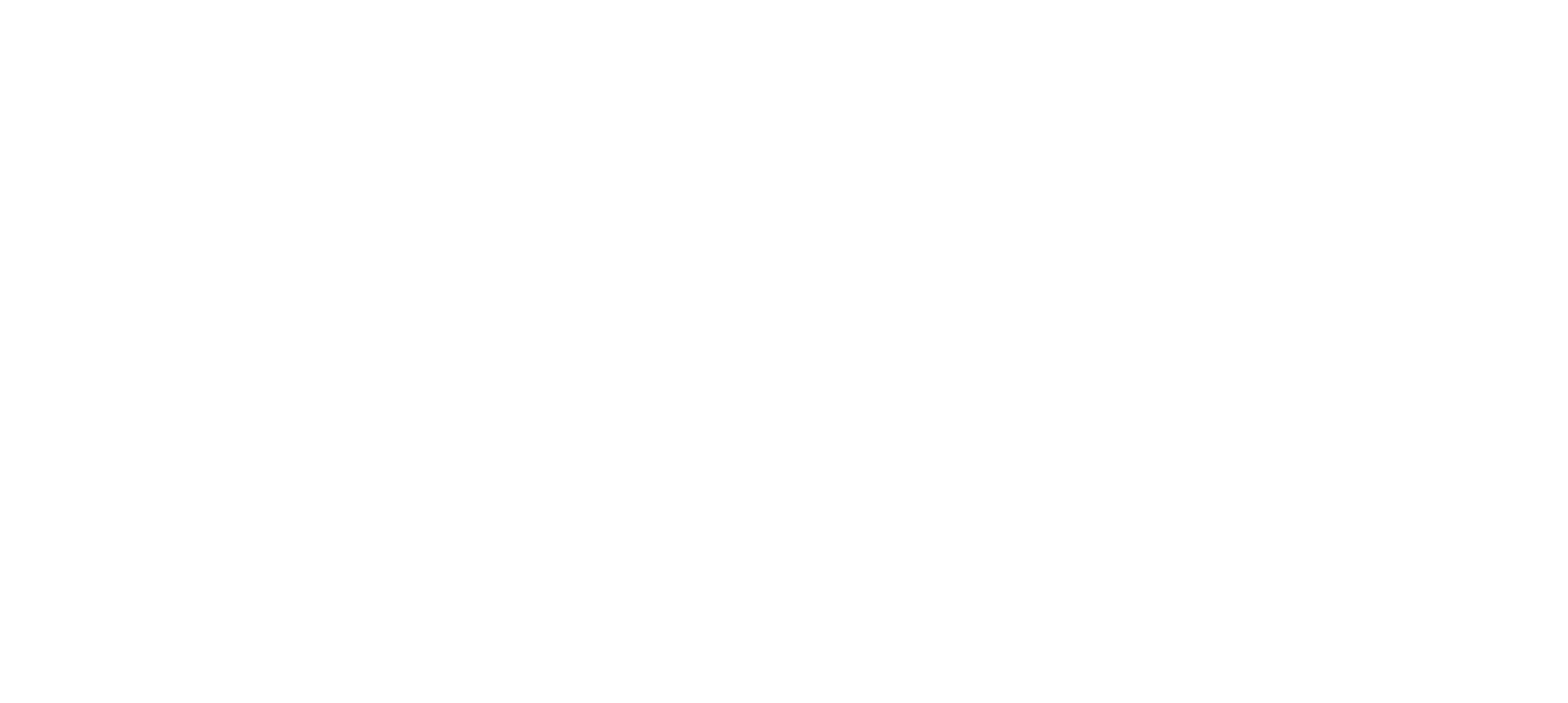 MAGNETIC MOON RECORDS