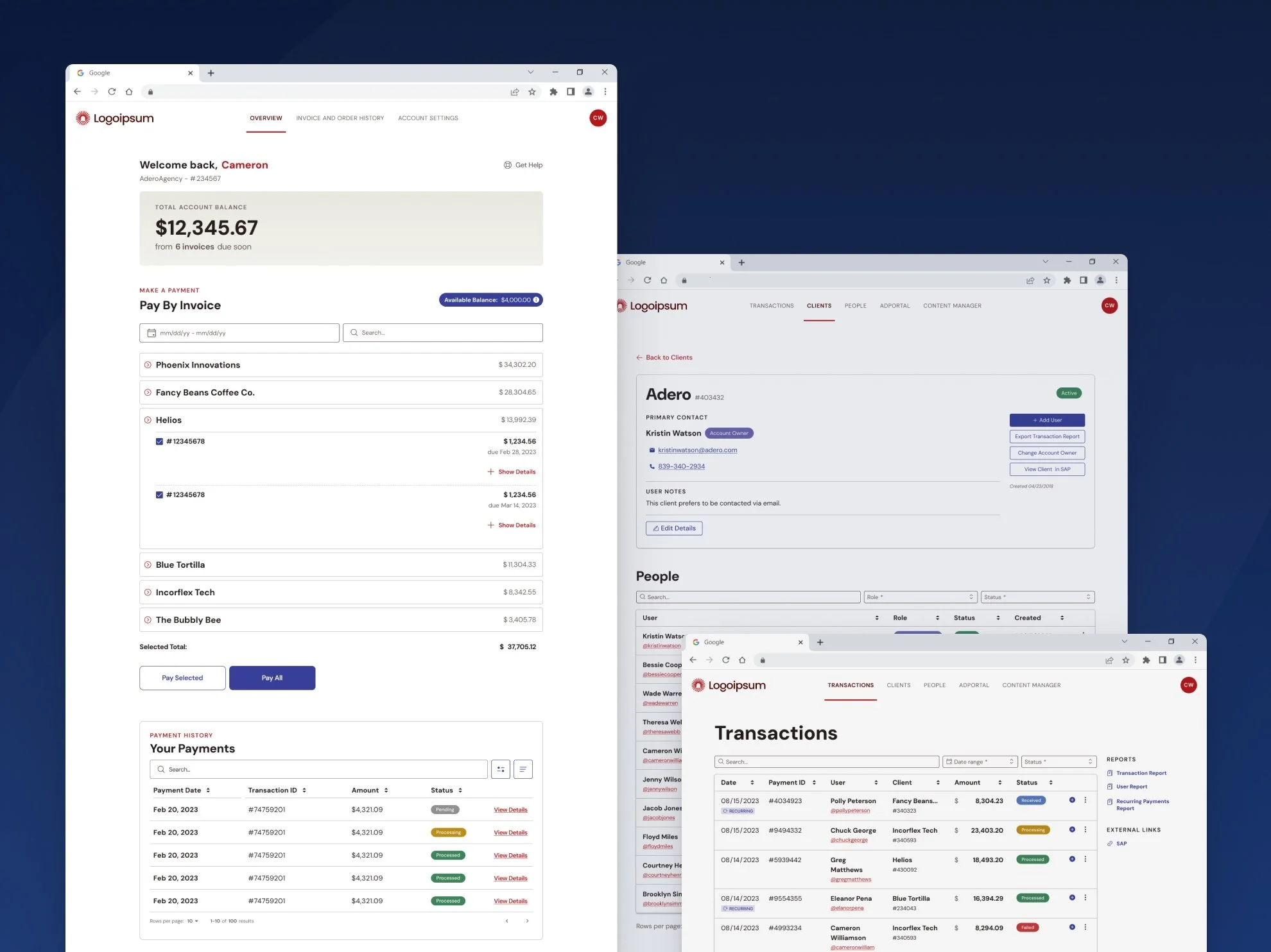 Designed screens displaying financial management software, including account balance, invoices, client details, transactions, and payment history pages.