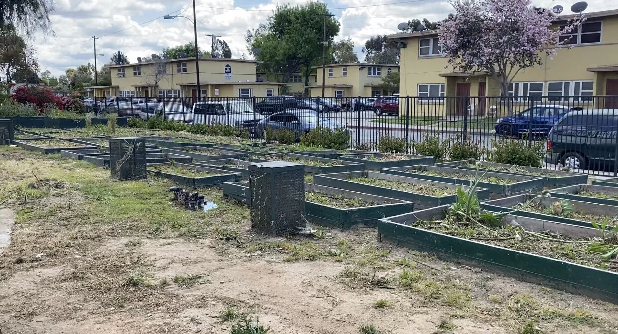 Projects — GREENSPACESLA